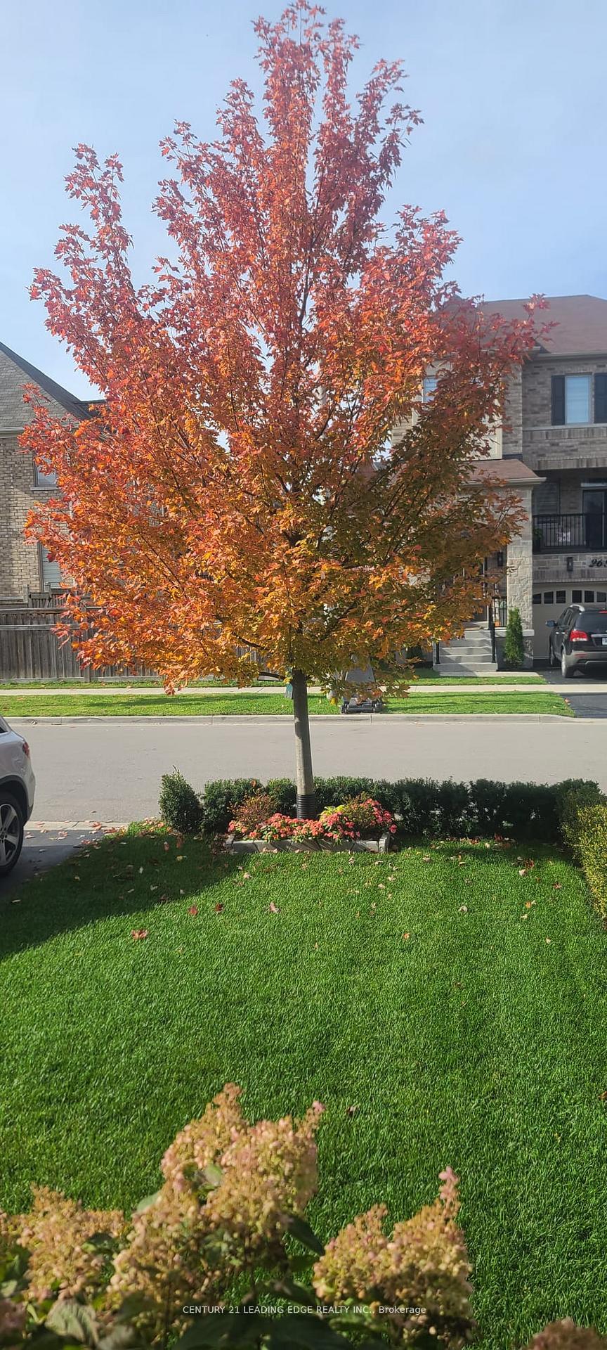 Photo 7 of 23 Terry Crescent, Clarington, Bowmanville — HOMEH