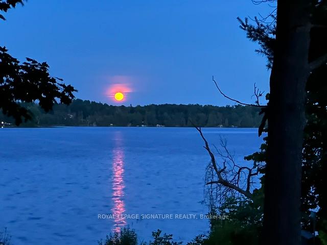 Photo 1 of 321 Avery Point Road, Kawartha Lakes, Carden — HOMEH
