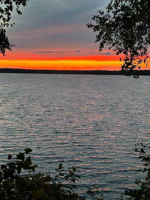 Photo 3 of 321 Avery Point Road, Kawartha Lakes, Carden — HOMEH