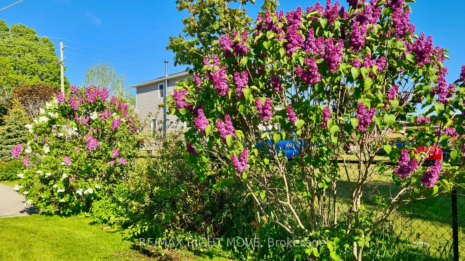 Photo 21 of 2344 12 Highway, Ramara, Brechin — HOMEH