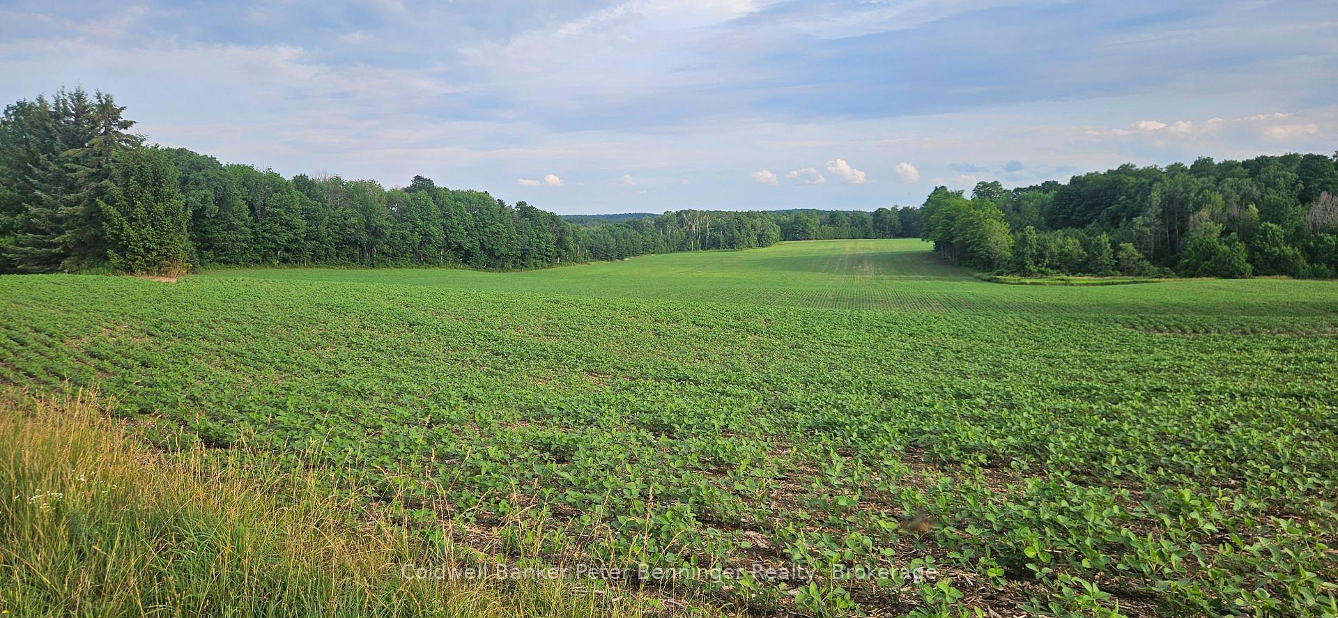 Photo of 521268 Concession 12 N