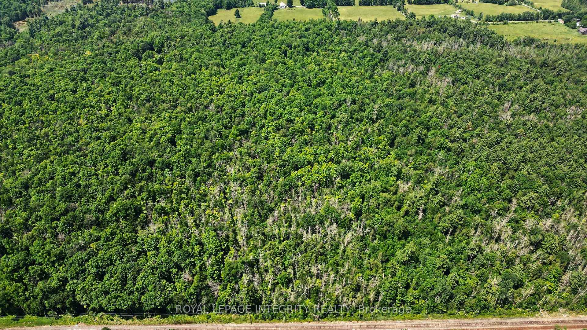 Photo 11 of 2657 Palmer Road, Tay Valley, Bathurst/Burgess & Sherbrooke (Bathurst) Twp — HOMEH
