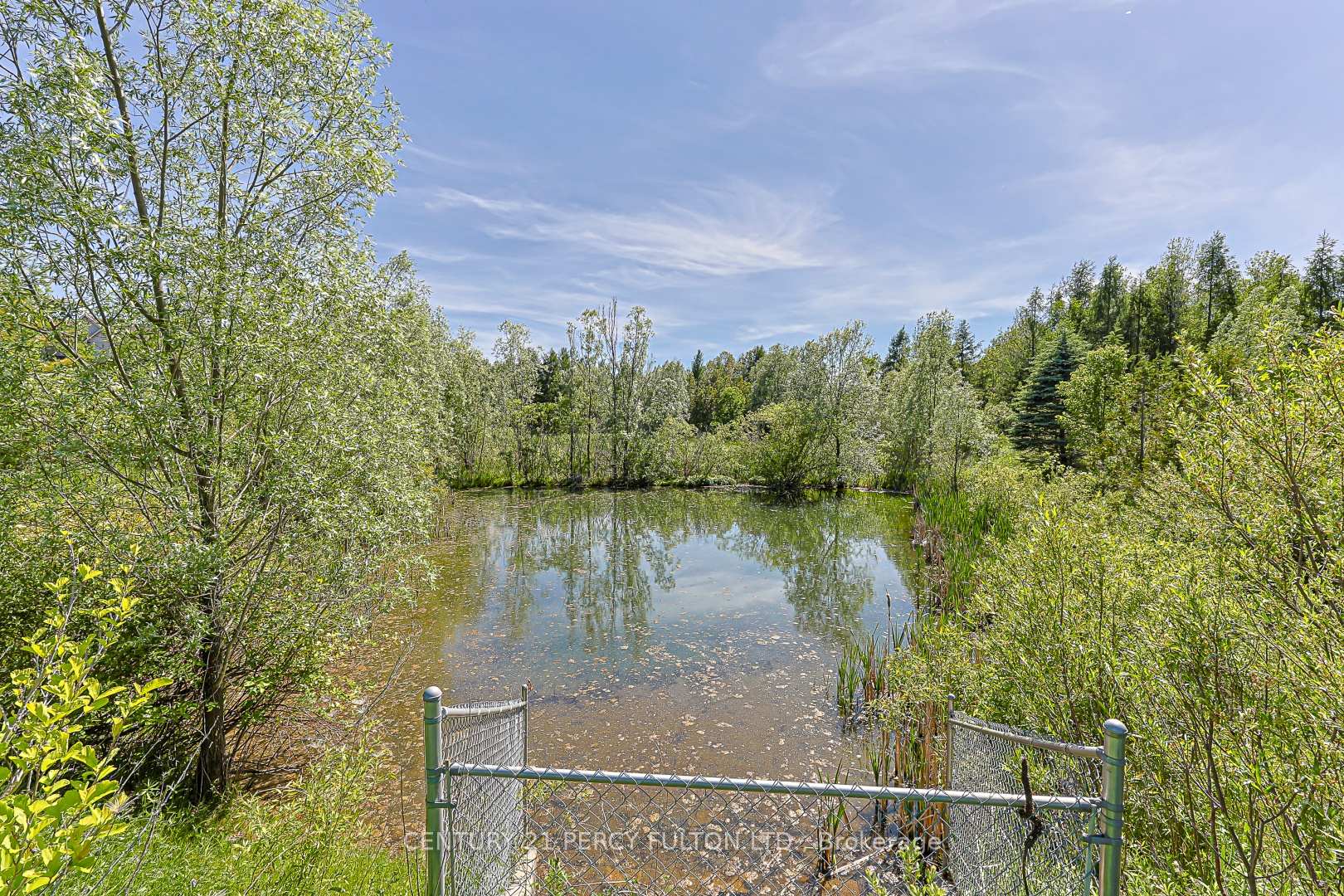 Photo 48 of 42 Arthur Case Crescent, East Gwillimbury, Mt Albert — HOMEH