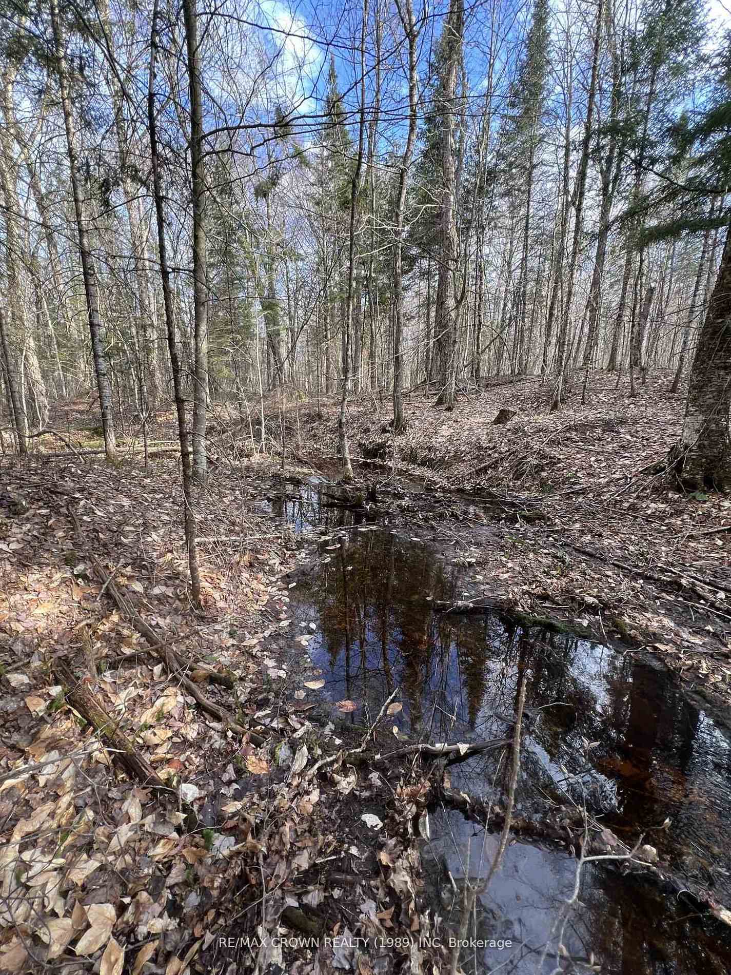 Photo 14 of PART LOT 14 Concession 7, McMurrich/Monteith, McMurrich — HOMEH