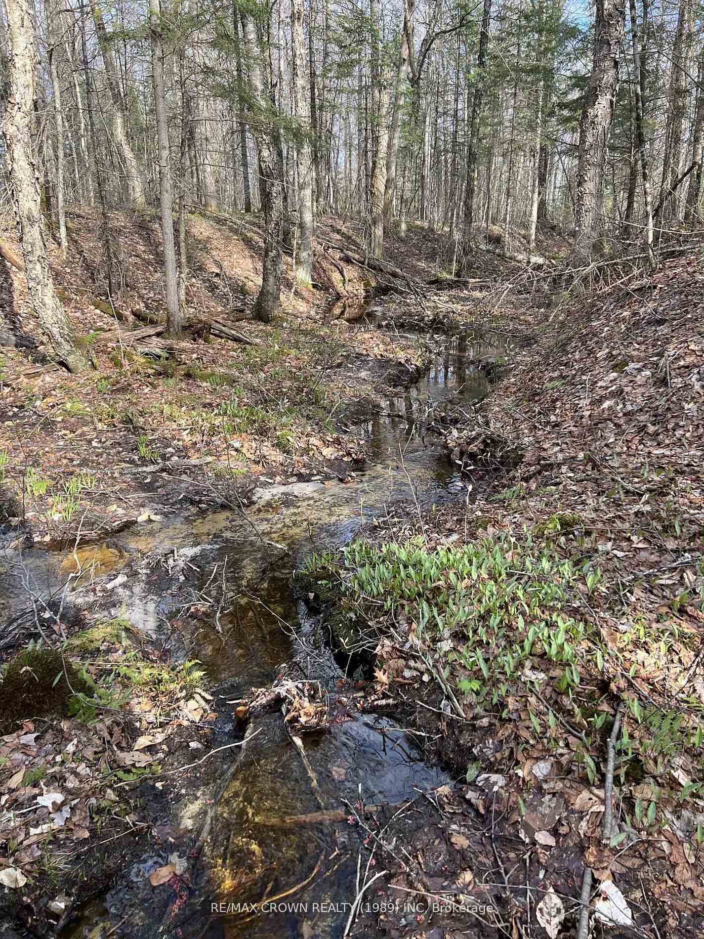 Photo 15 of PART LOT 14 Concession 7, McMurrich/Monteith, McMurrich — HOMEH