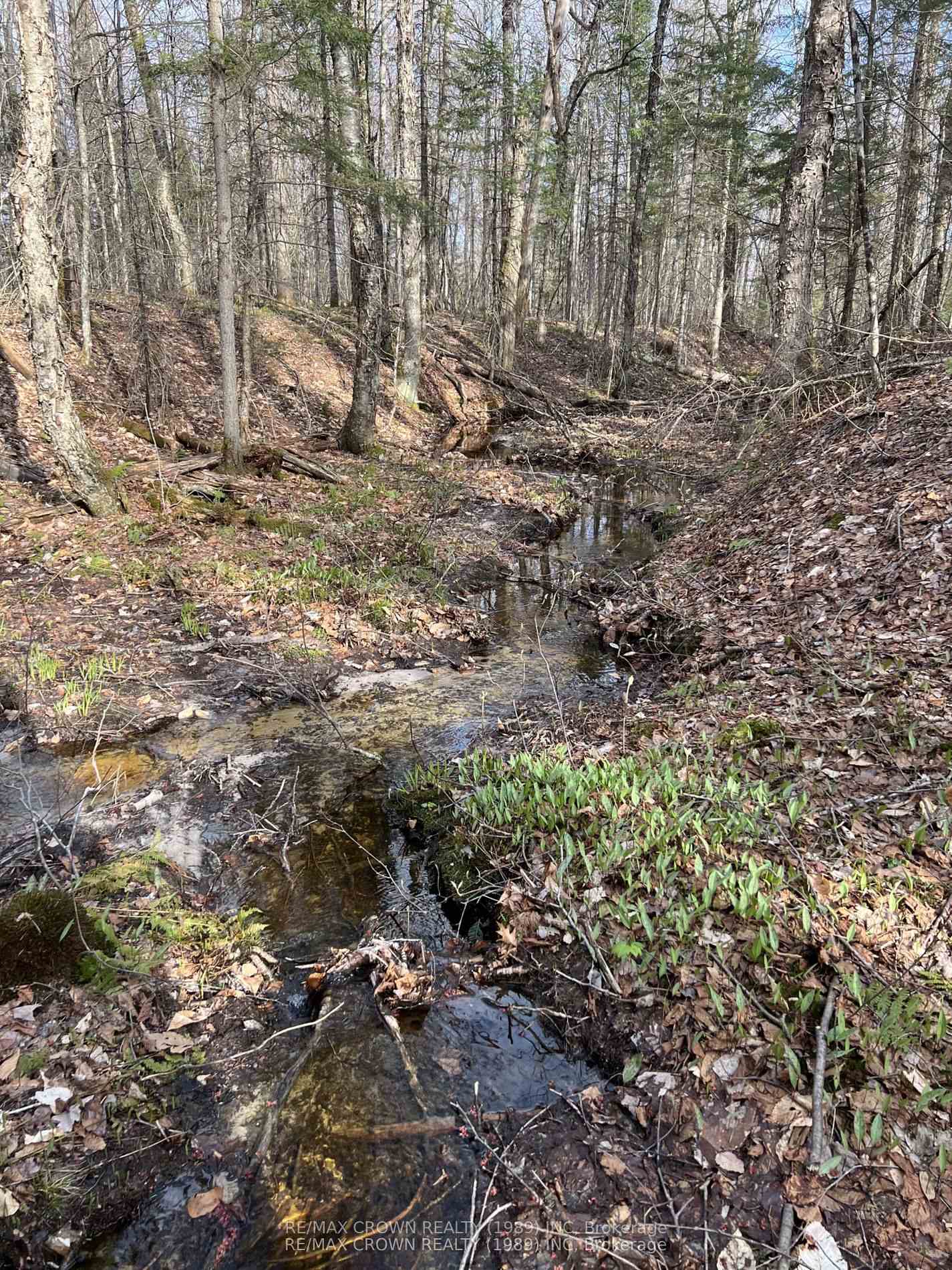 Photo 16 of PART LOT 14 Concession 7, McMurrich/Monteith, McMurrich — HOMEH