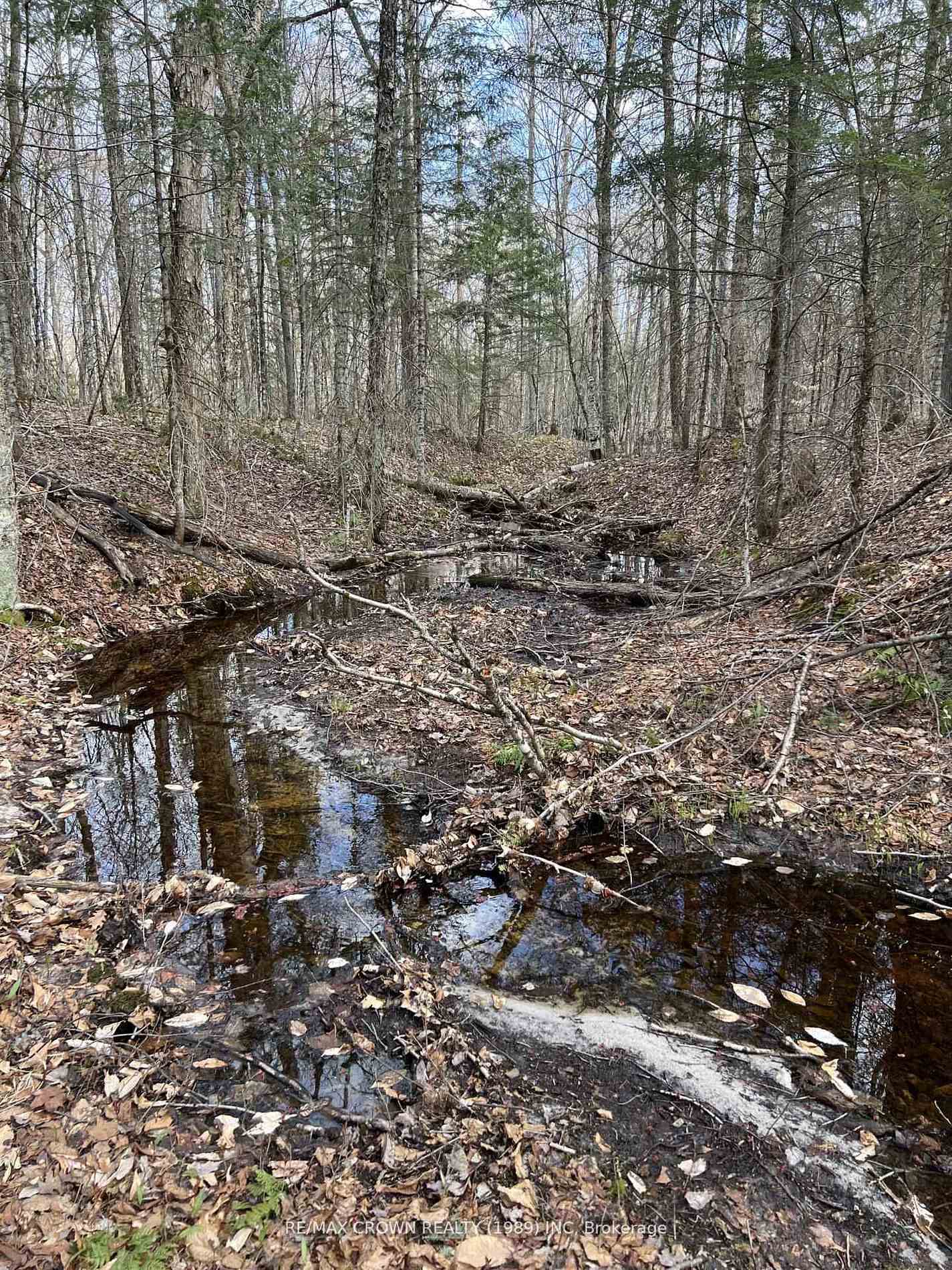 Photo 17 of PART LOT 14 Concession 7, McMurrich/Monteith, McMurrich — HOMEH
