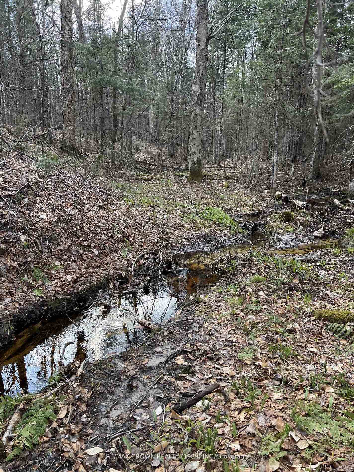 Photo 18 of PART LOT 14 Concession 7, McMurrich/Monteith, McMurrich — HOMEH
