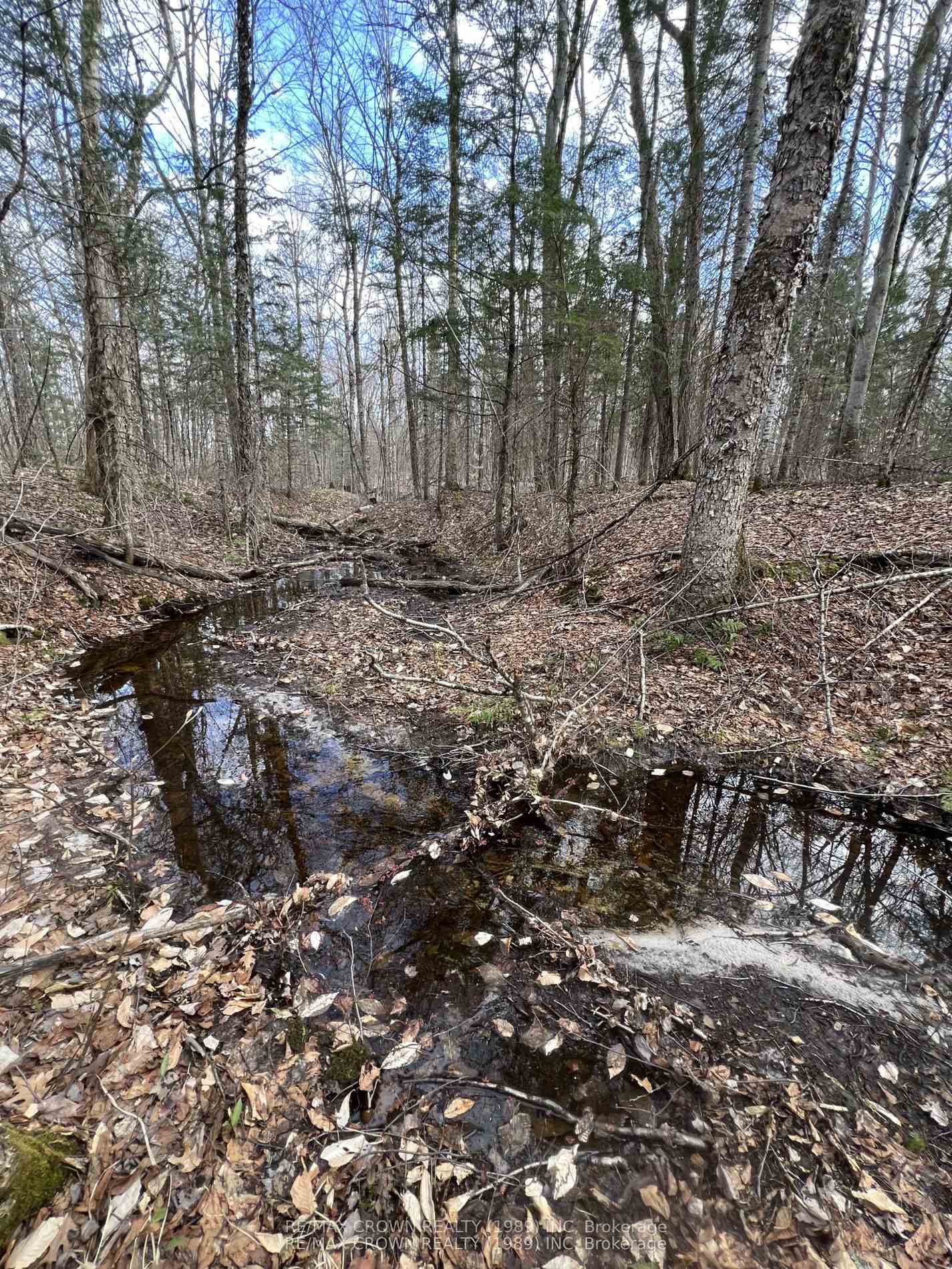 Photo 19 of PART LOT 14 Concession 7, McMurrich/Monteith, McMurrich — HOMEH