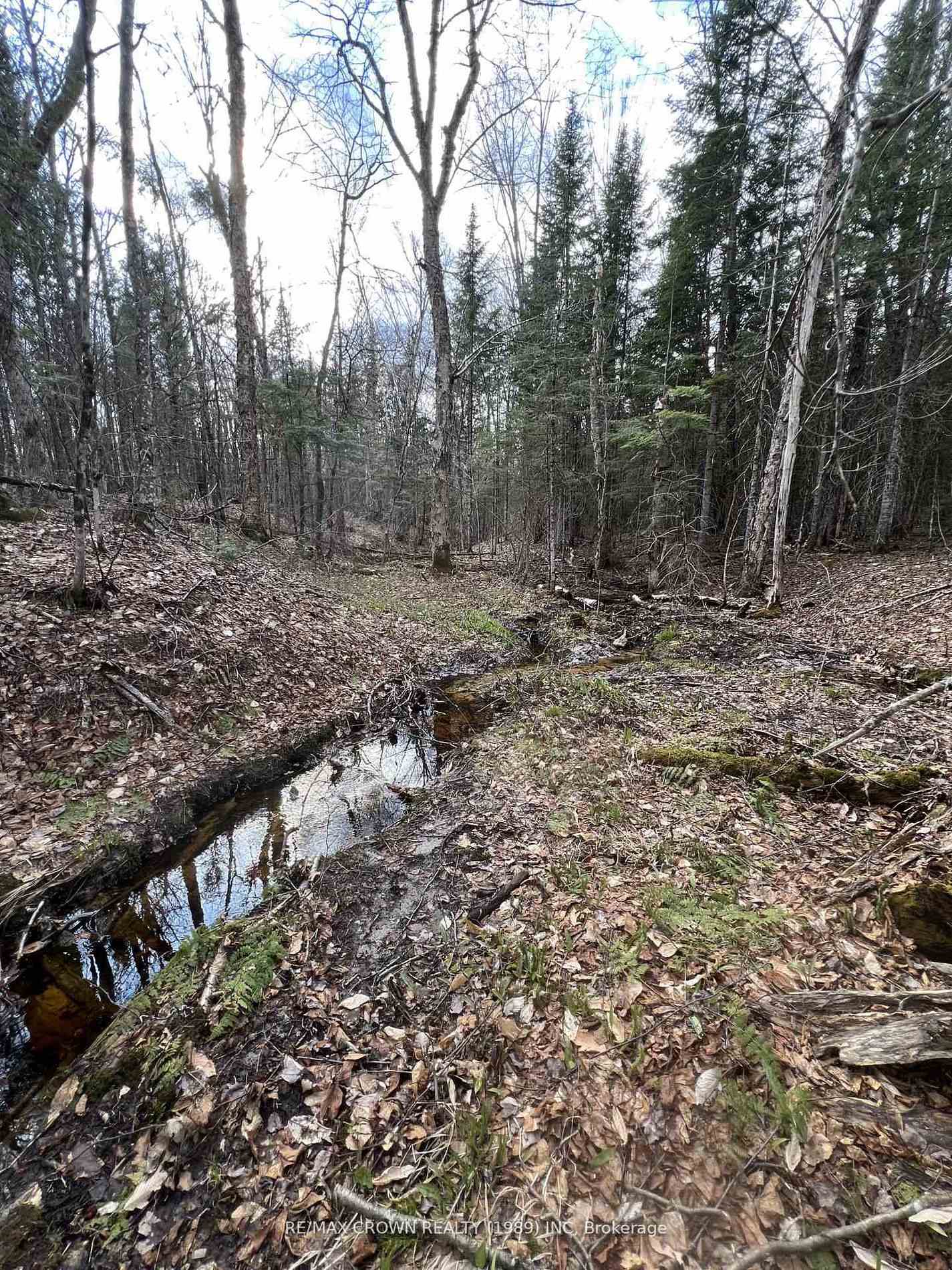 Photo 20 of PART LOT 14 Concession 7, McMurrich/Monteith, McMurrich — HOMEH