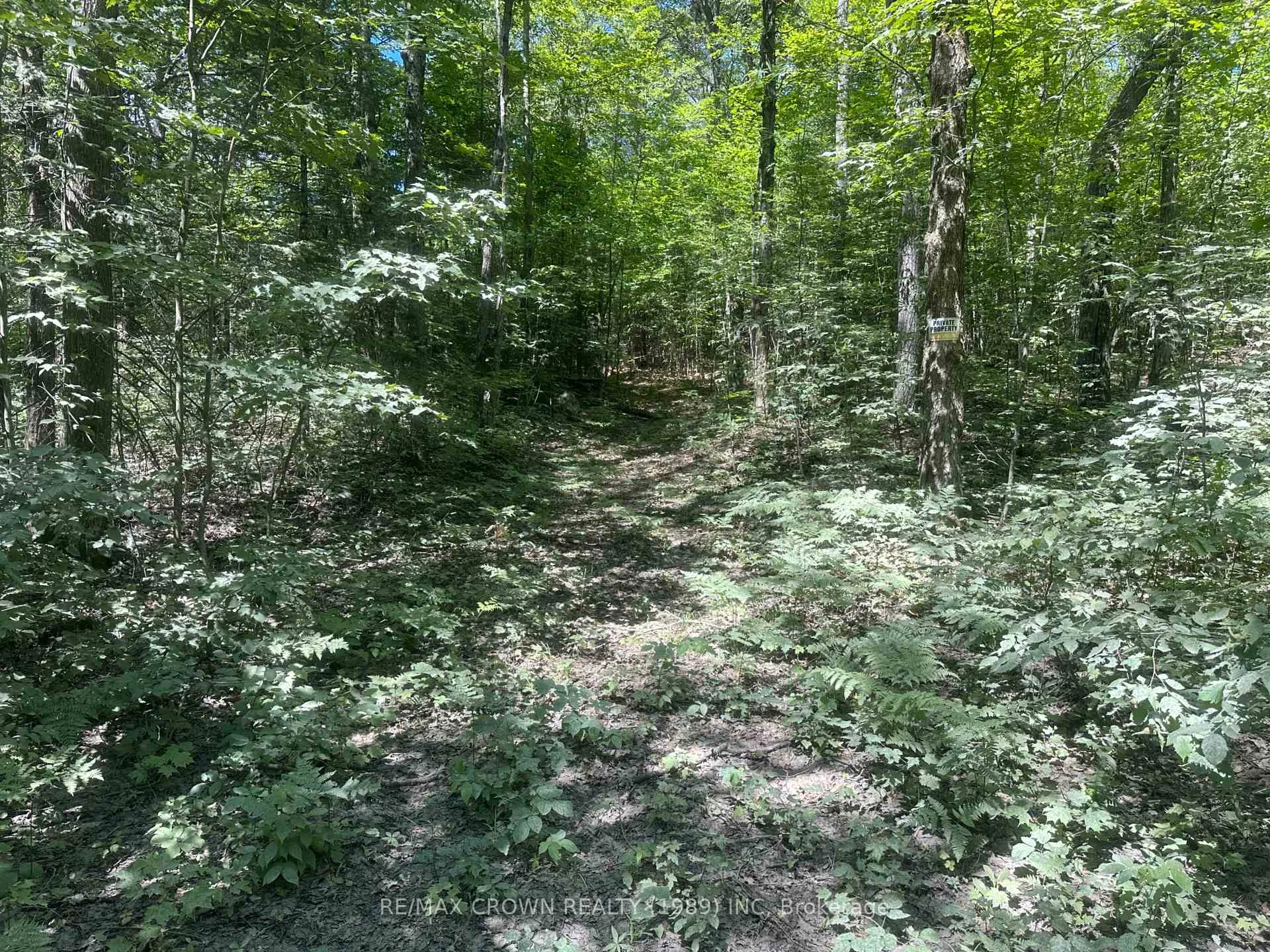 Photo 6 of PART LOT 14 Concession 7, McMurrich/Monteith, McMurrich — HOMEH