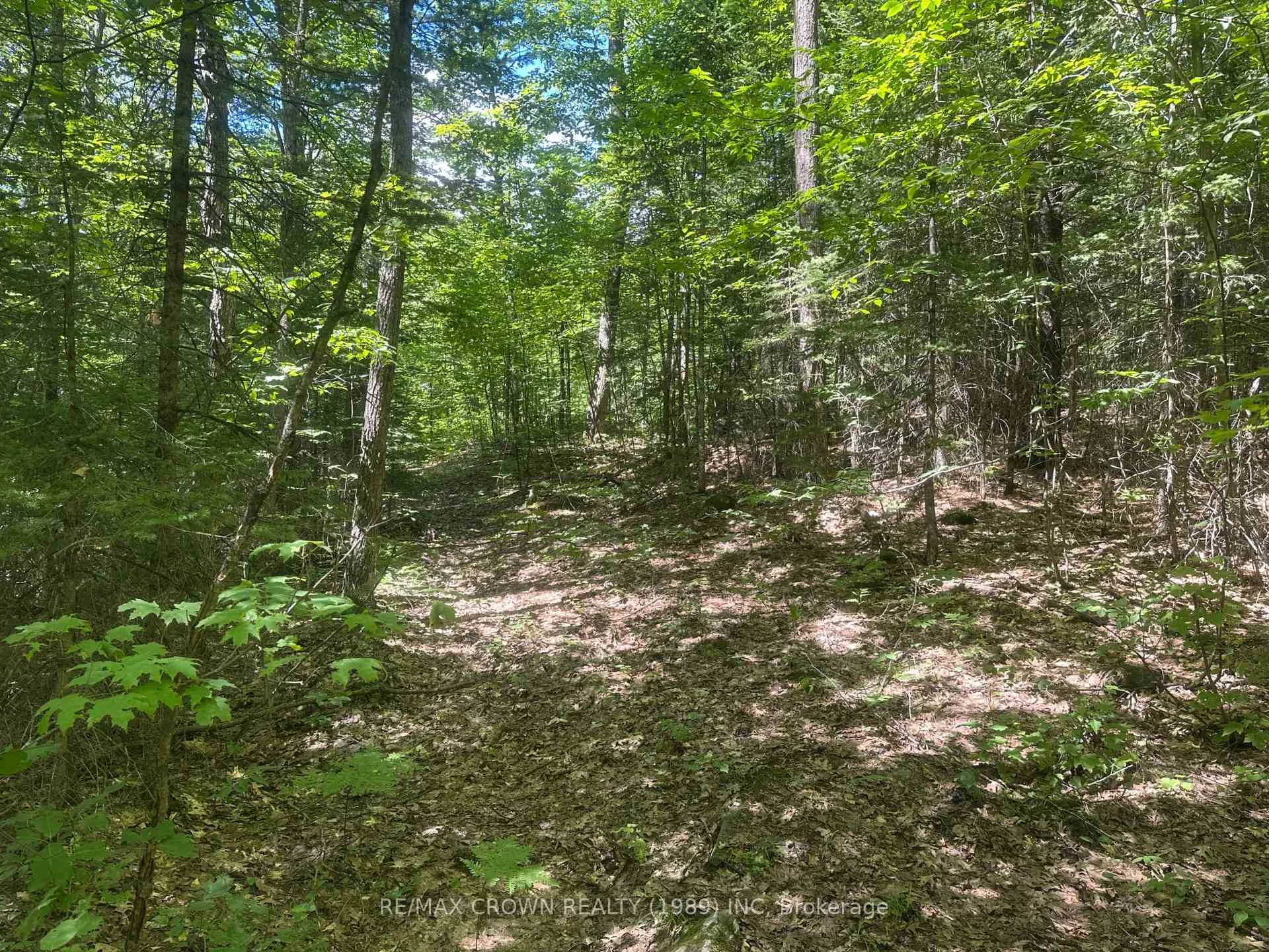 Photo 7 of PART LOT 14 Concession 7, McMurrich/Monteith, McMurrich — HOMEH