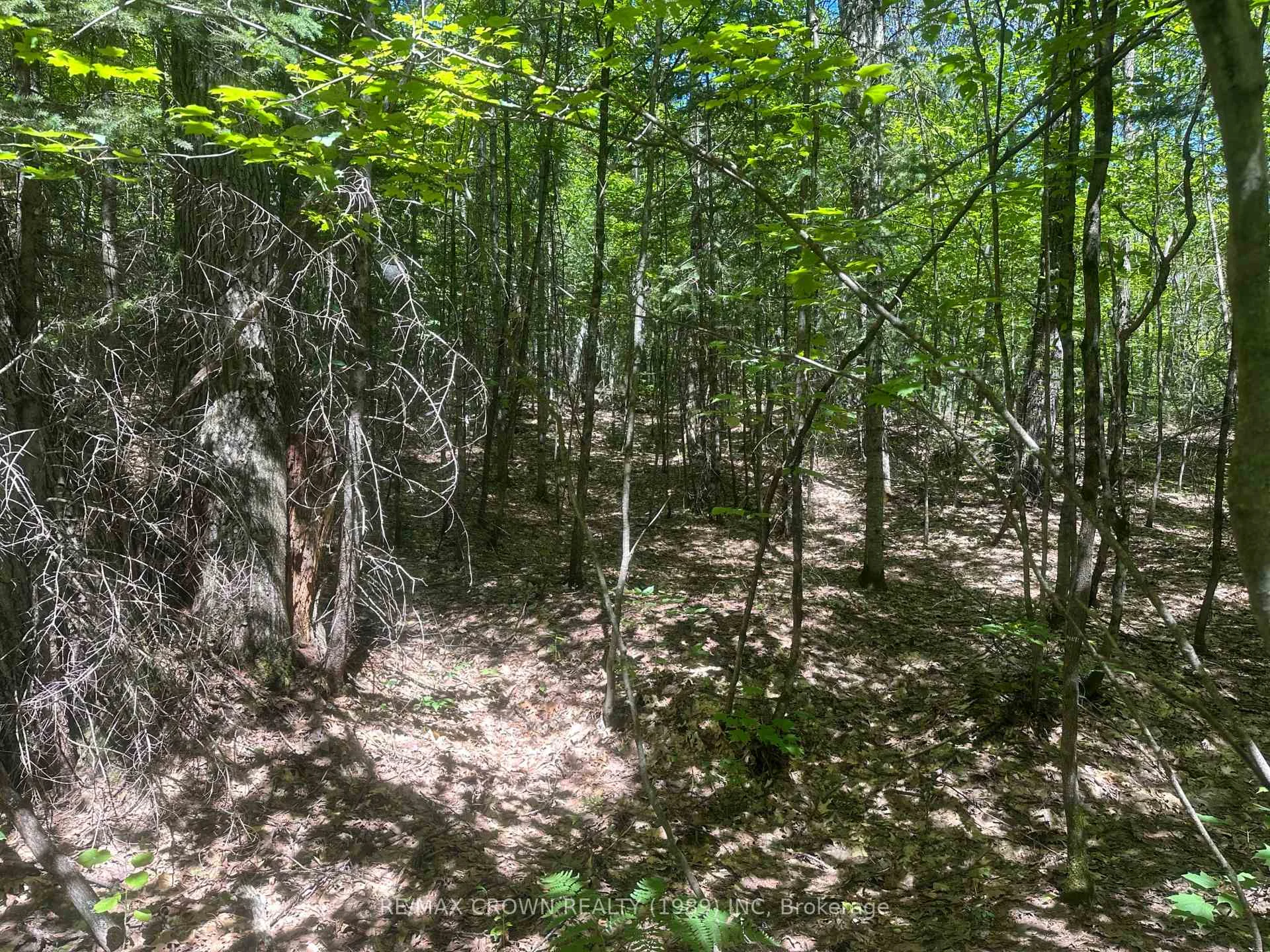 Photo 8 of PART LOT 14 Concession 7, McMurrich/Monteith, McMurrich — HOMEH