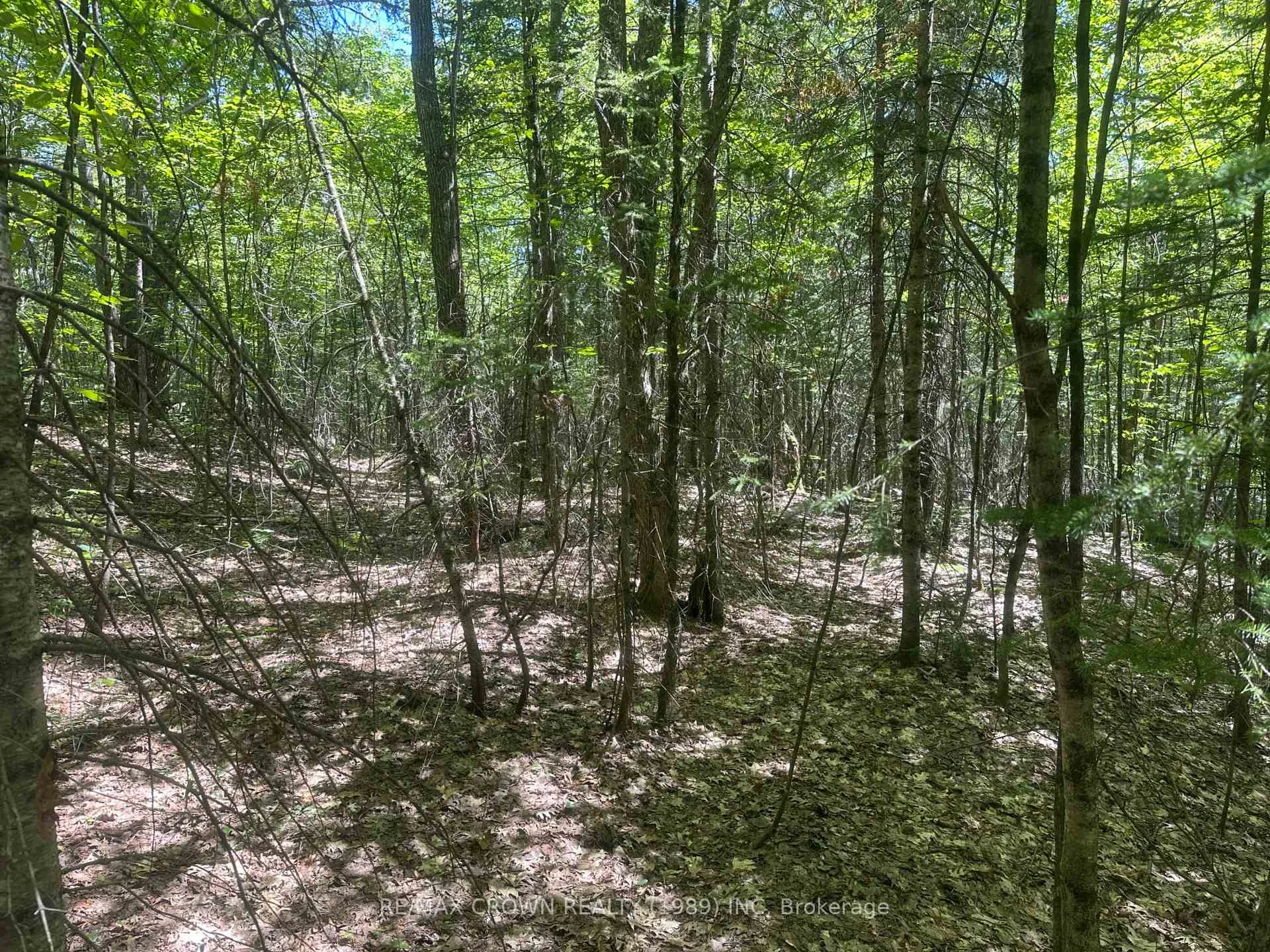 Photo 9 of PART LOT 14 Concession 7, McMurrich/Monteith, McMurrich — HOMEH