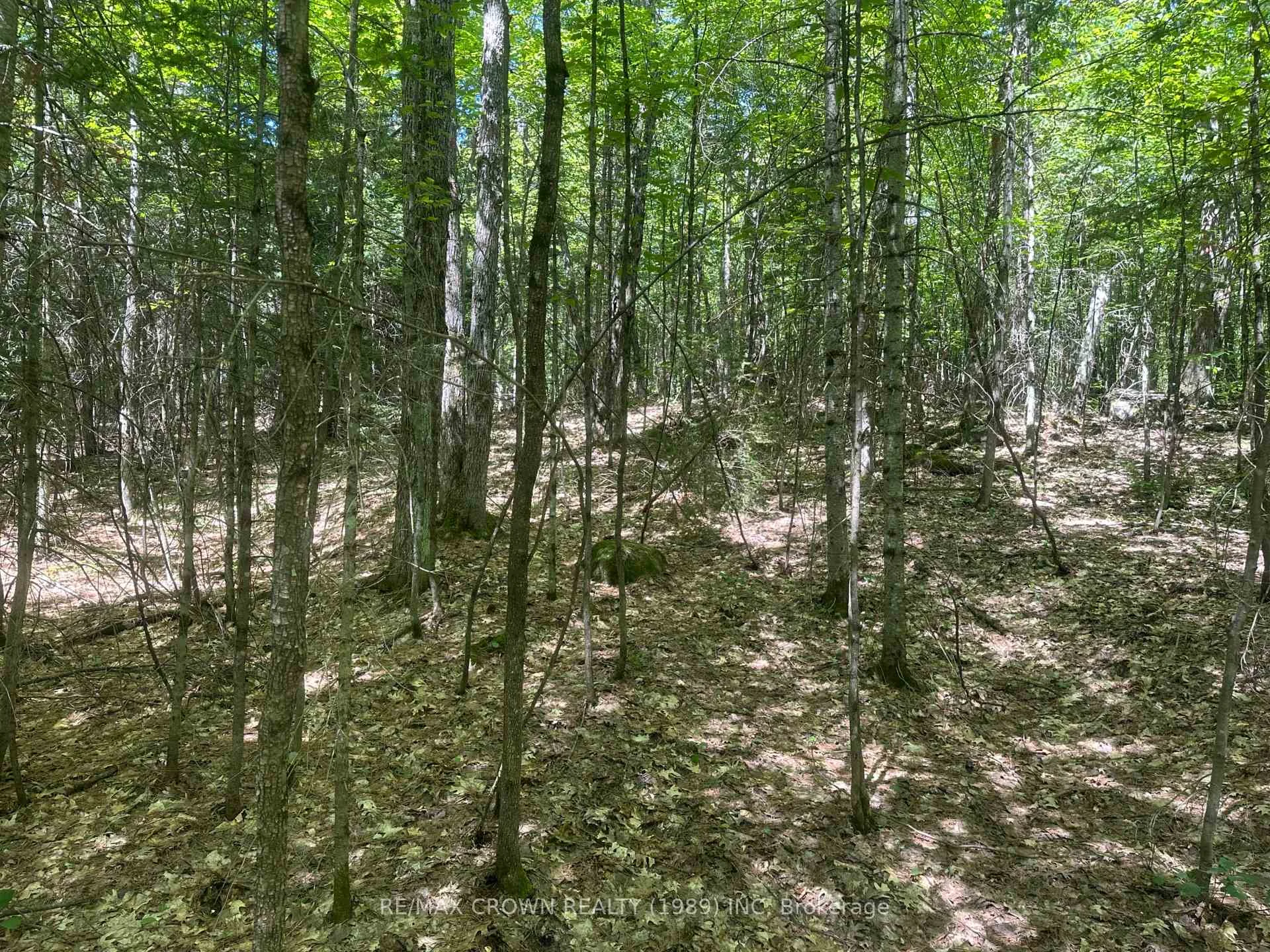 Photo 10 of PART LOT 14 Concession 7, McMurrich/Monteith, McMurrich — HOMEH