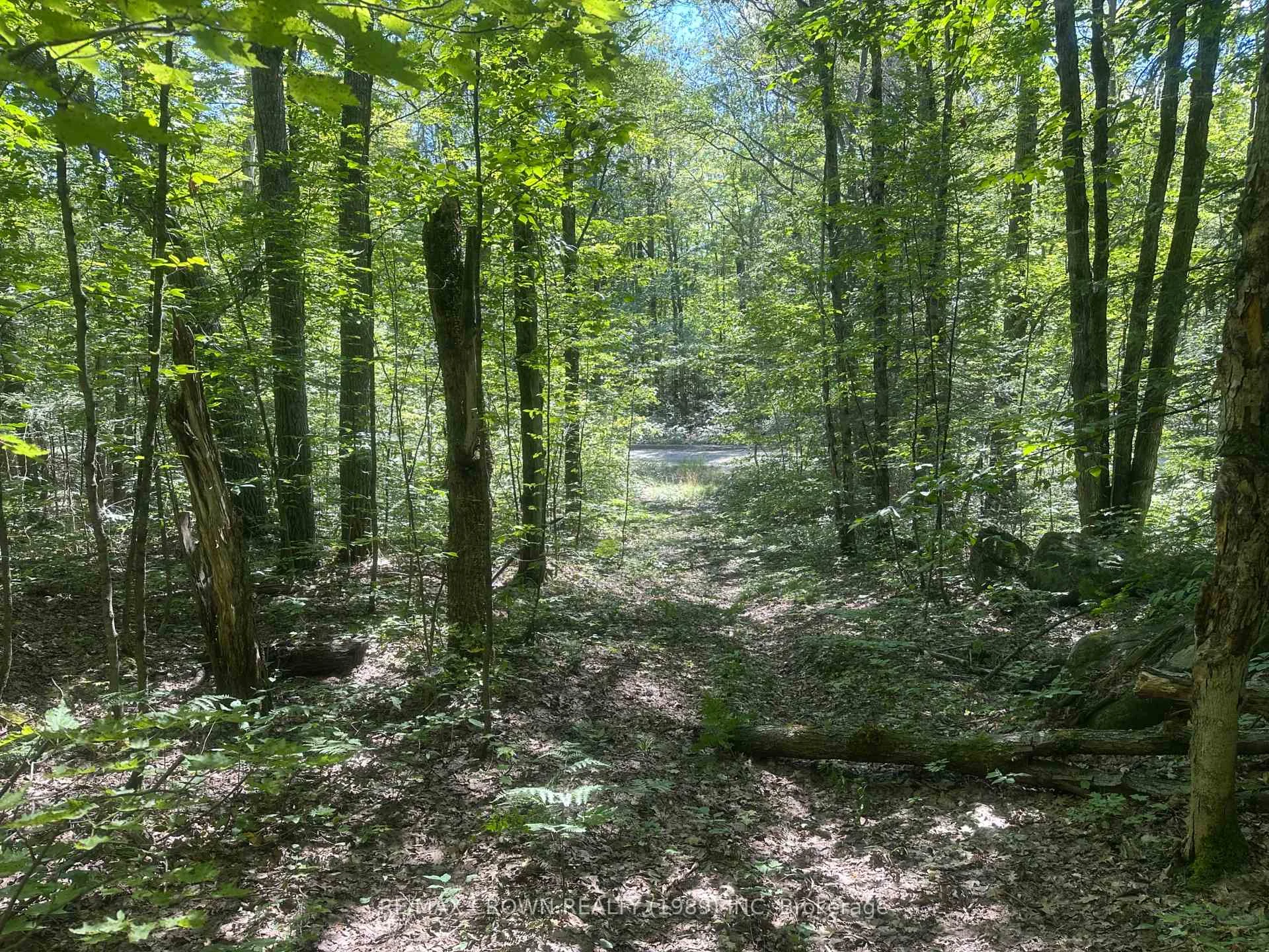 Photo 11 of PART LOT 14 Concession 7, McMurrich/Monteith, McMurrich — HOMEH