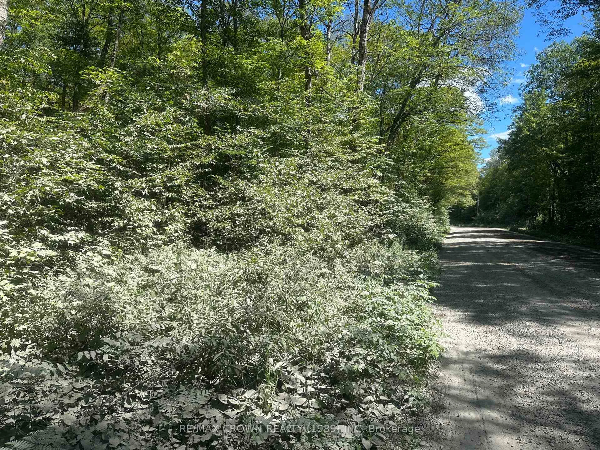 Photo 12 of PART LOT 14 Concession 7, McMurrich/Monteith, McMurrich — HOMEH