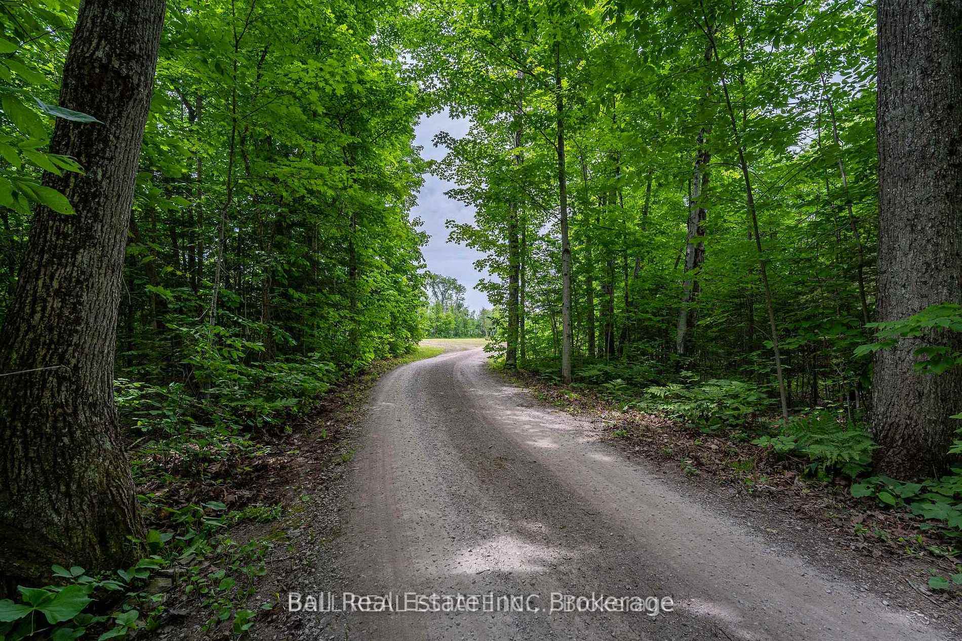 Photo 27 of Mill Line Road, Trent Lakes — HOMEH