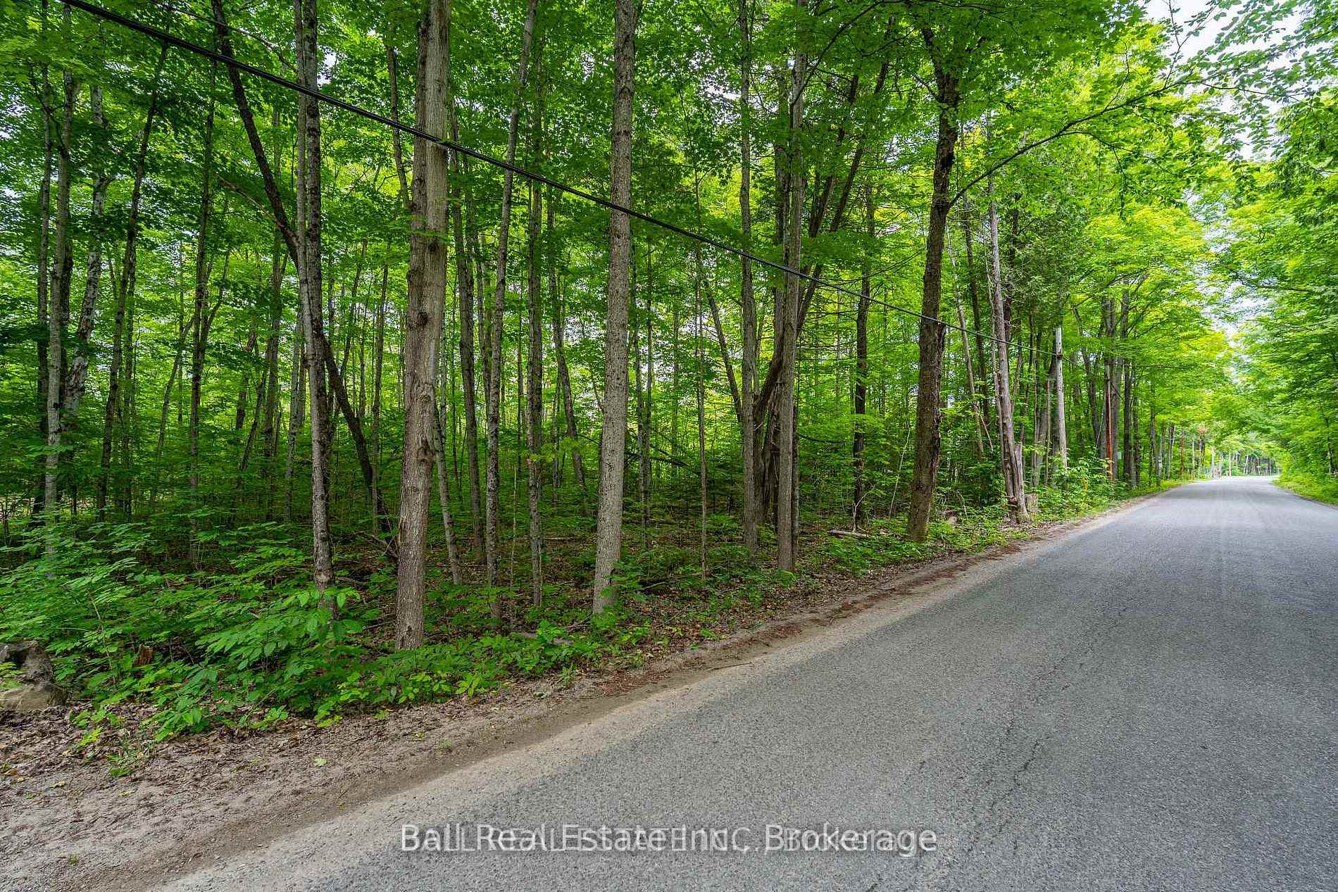 Photo 31 of Mill Line Road, Trent Lakes — HOMEH