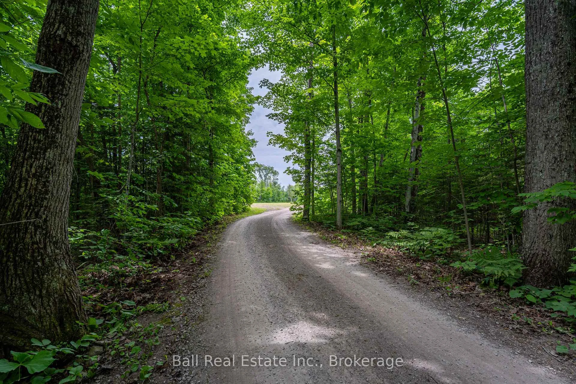 Photo 9 of Mill Line Road, Trent Lakes — HOMEH