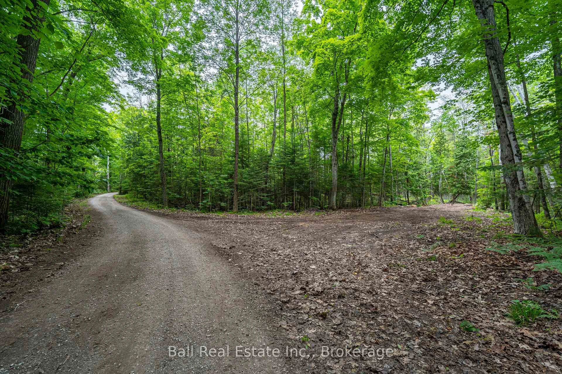 Photo 10 of Mill Line Road, Trent Lakes — HOMEH