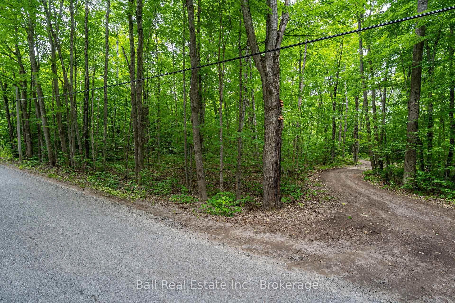 Photo 11 of Mill Line Road, Trent Lakes — HOMEH