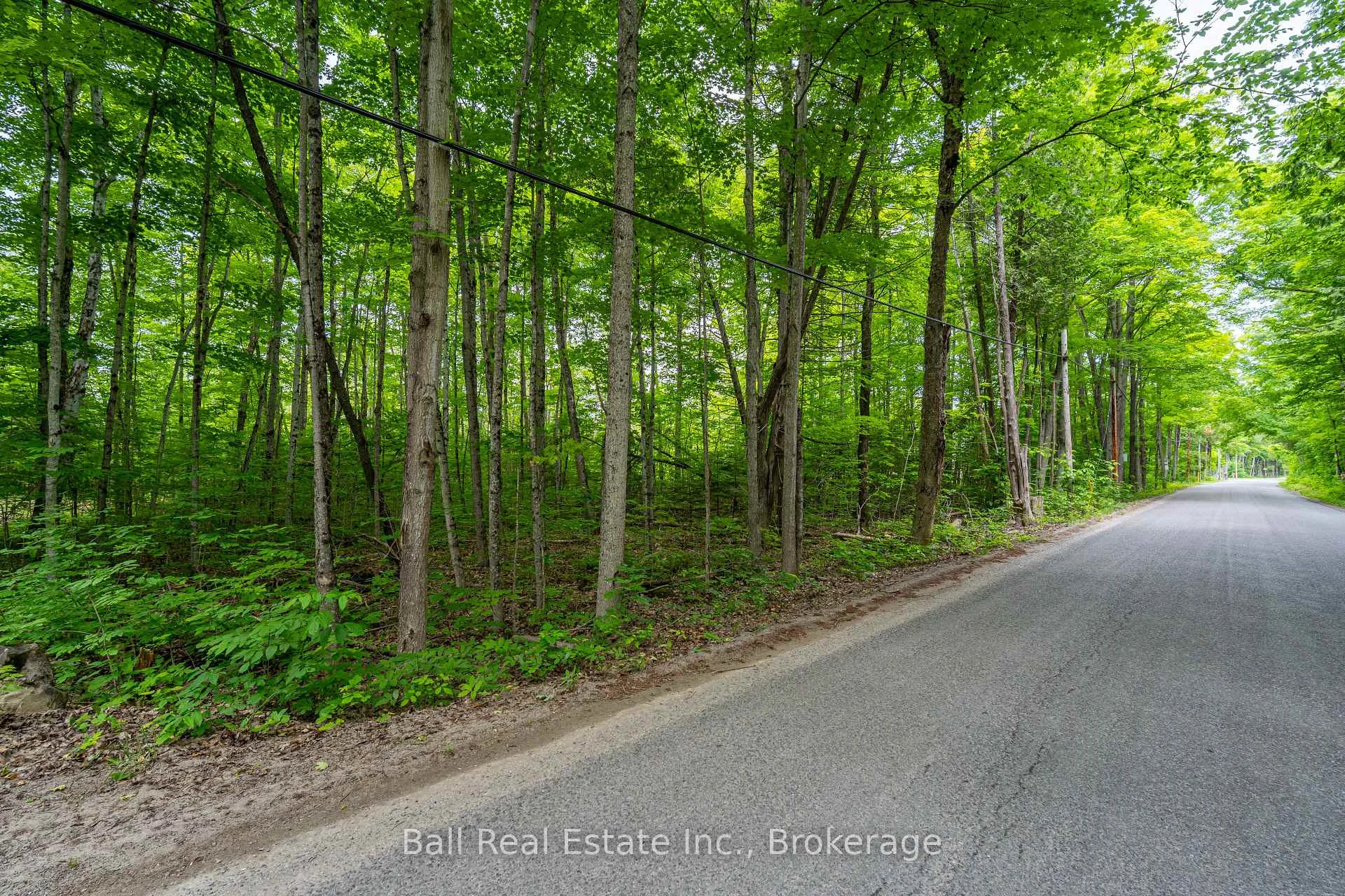Photo 13 of Mill Line Road, Trent Lakes — HOMEH