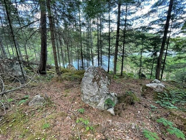 Photo 21 of 301 Sandy Beach Road, Dryden, Barclay — HOMEH