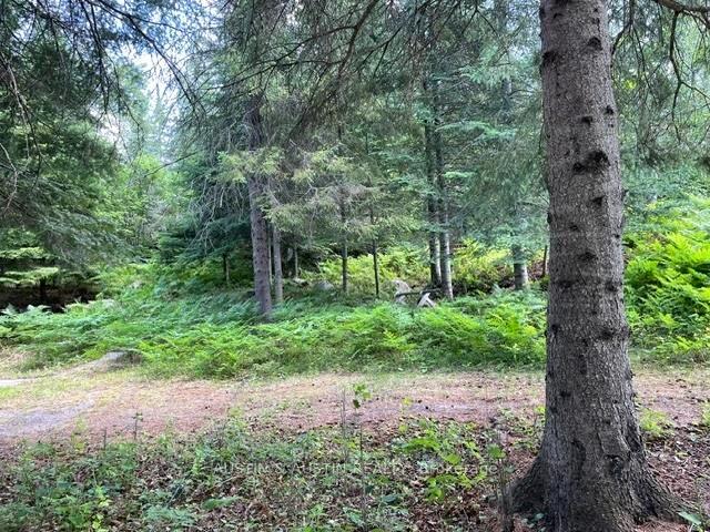 Photo 22 of 301 Sandy Beach Road, Dryden, Barclay — HOMEH