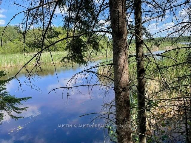 Photo 23 of 301 Sandy Beach Road, Dryden, Barclay — HOMEH