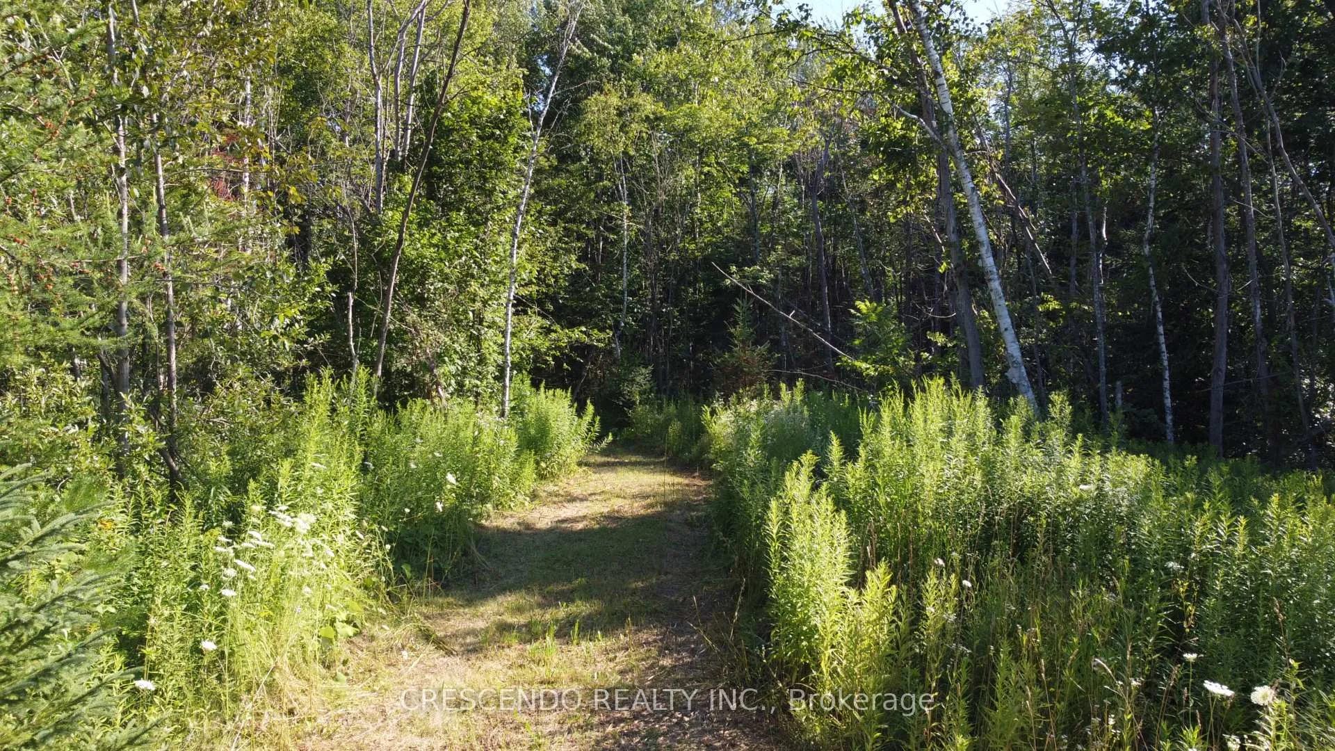 Photo 7 of 2687 Innisfil Beach Road, Innisfil, Rural Innisfil — HOMEH