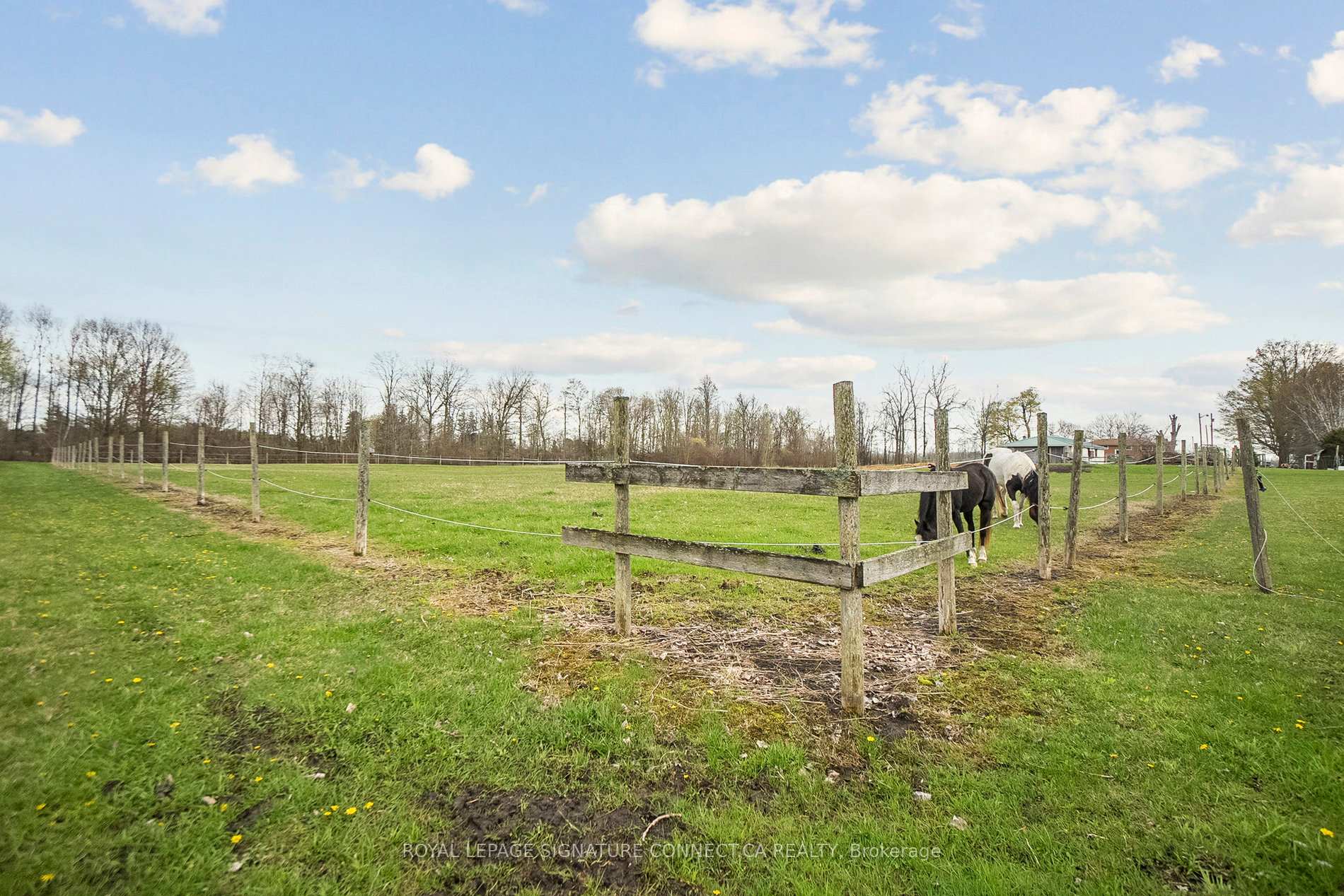 Photo 9 of 283 Inman Road, Haldimand, Dunnville — HOMEH