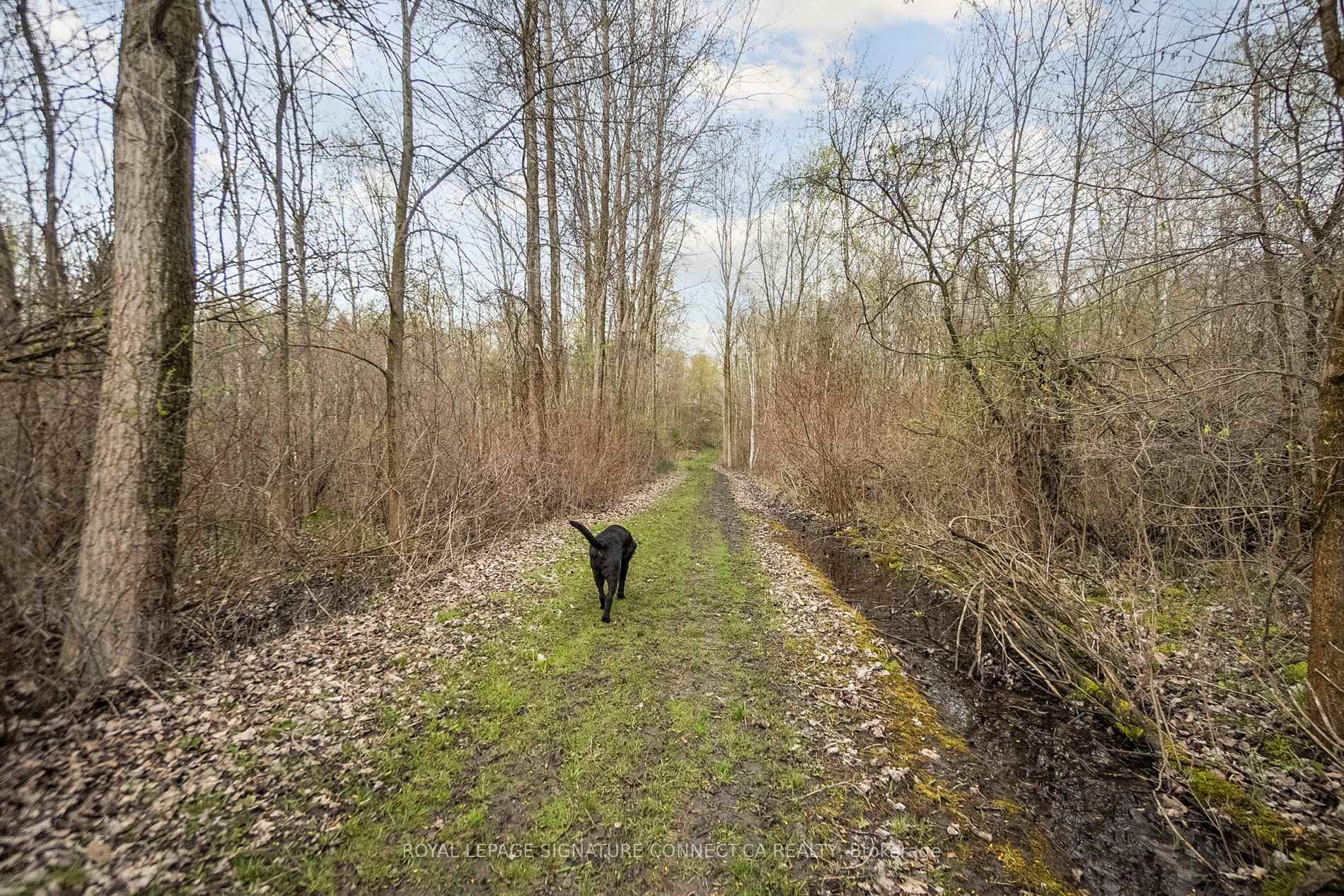 Photo 10 of 283 Inman Road, Haldimand, Dunnville — HOMEH