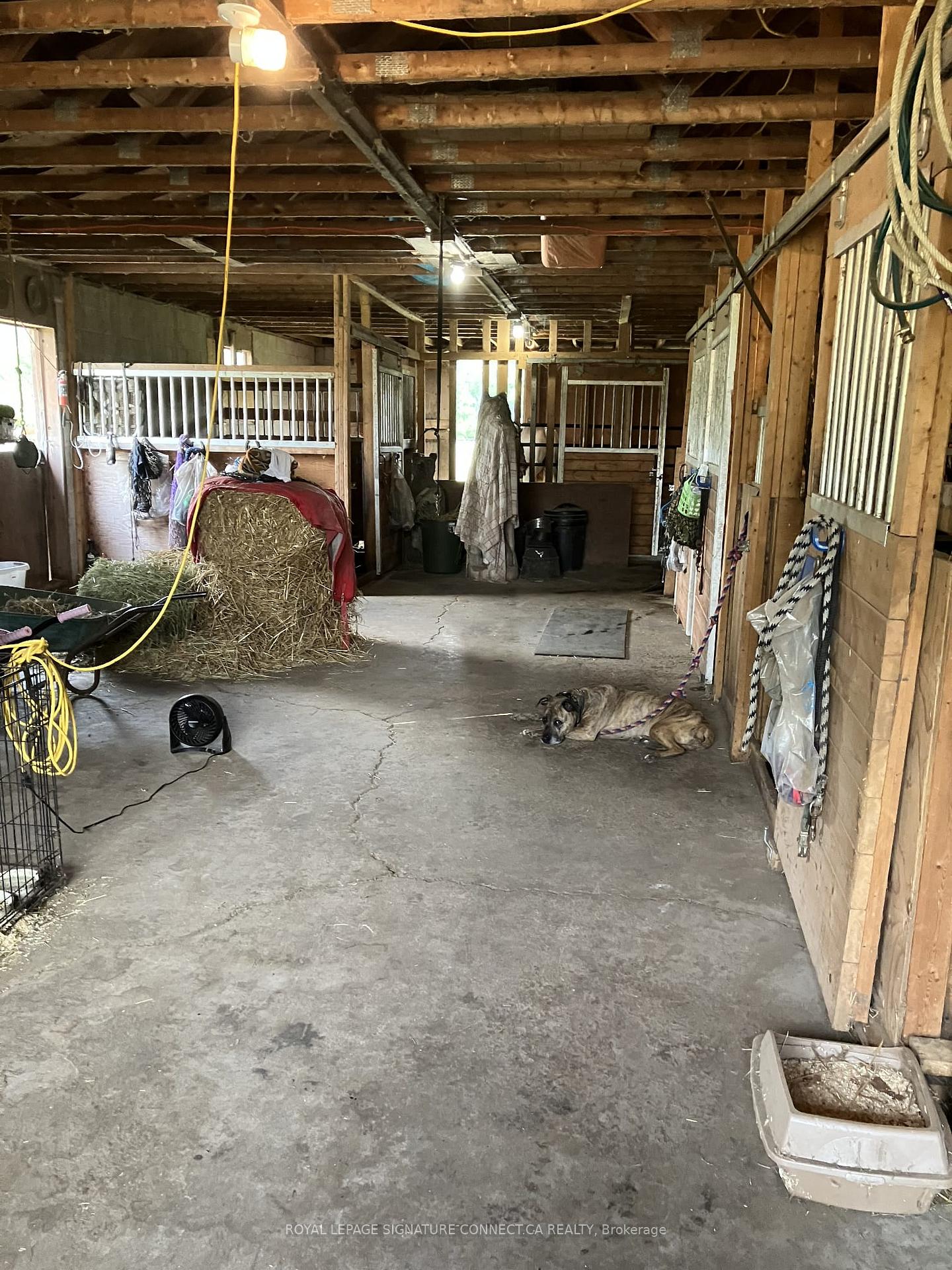 Photo 13 of 283 Inman Road, Haldimand, Dunnville — HOMEH