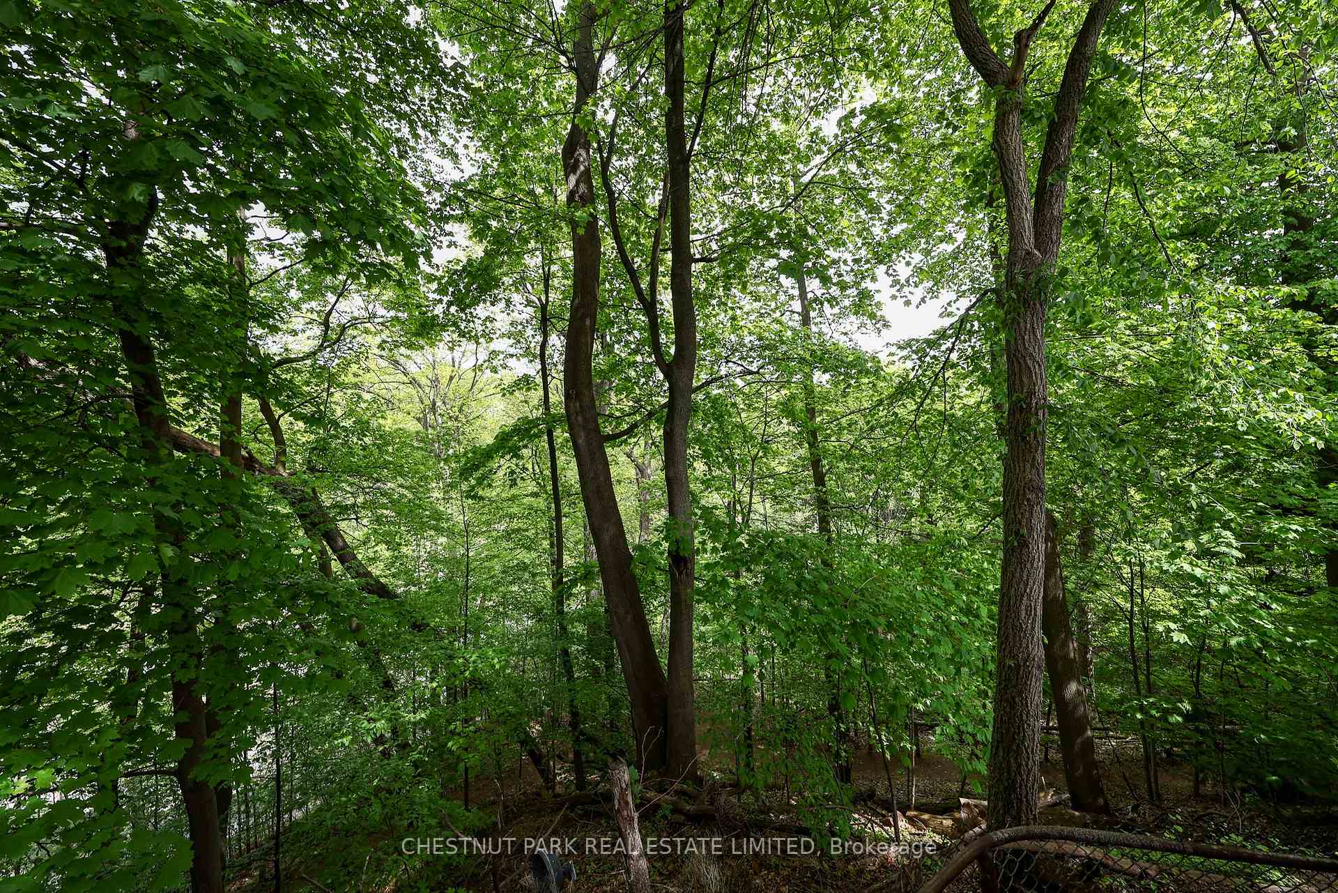 Photo 26 of 70 Summerhill Gardens, Toronto, Rosedale-Moore Park — HOMEH