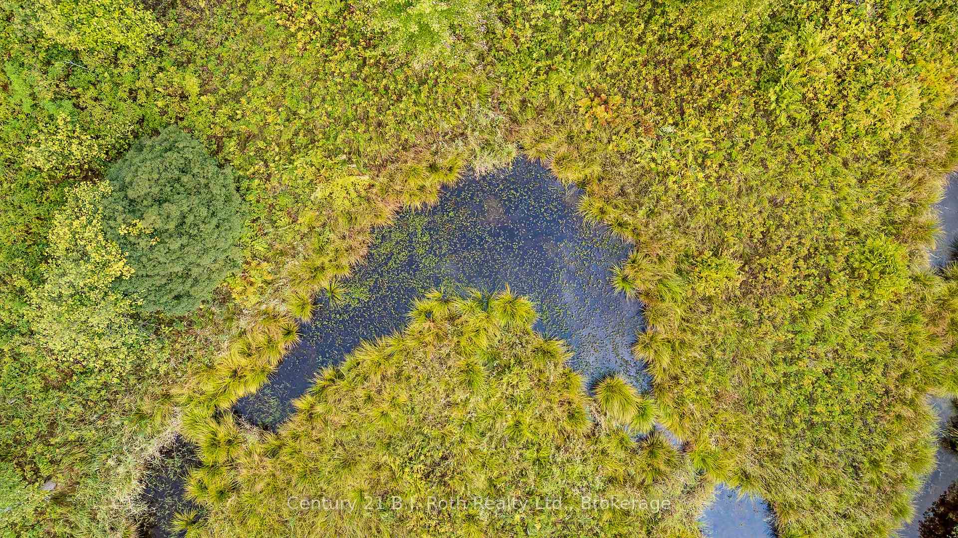 Photo 10 of LOT 20 Beiers Road, Gravenhurst, Morrison — HOMEH