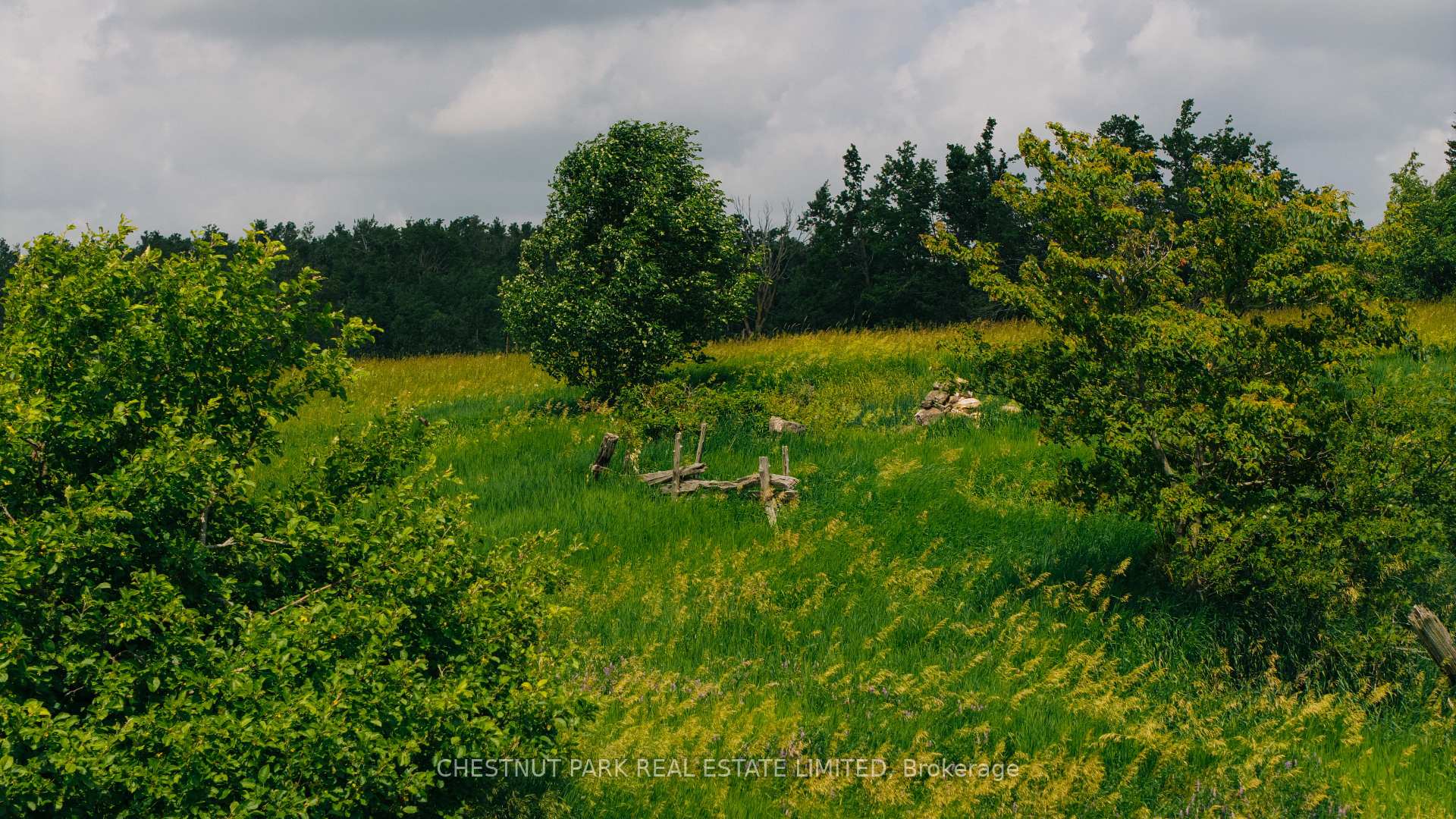 Photo 44 of 2726 10 Nottawasaga Concession S, Clearview, Rural Clearview — HOMEH