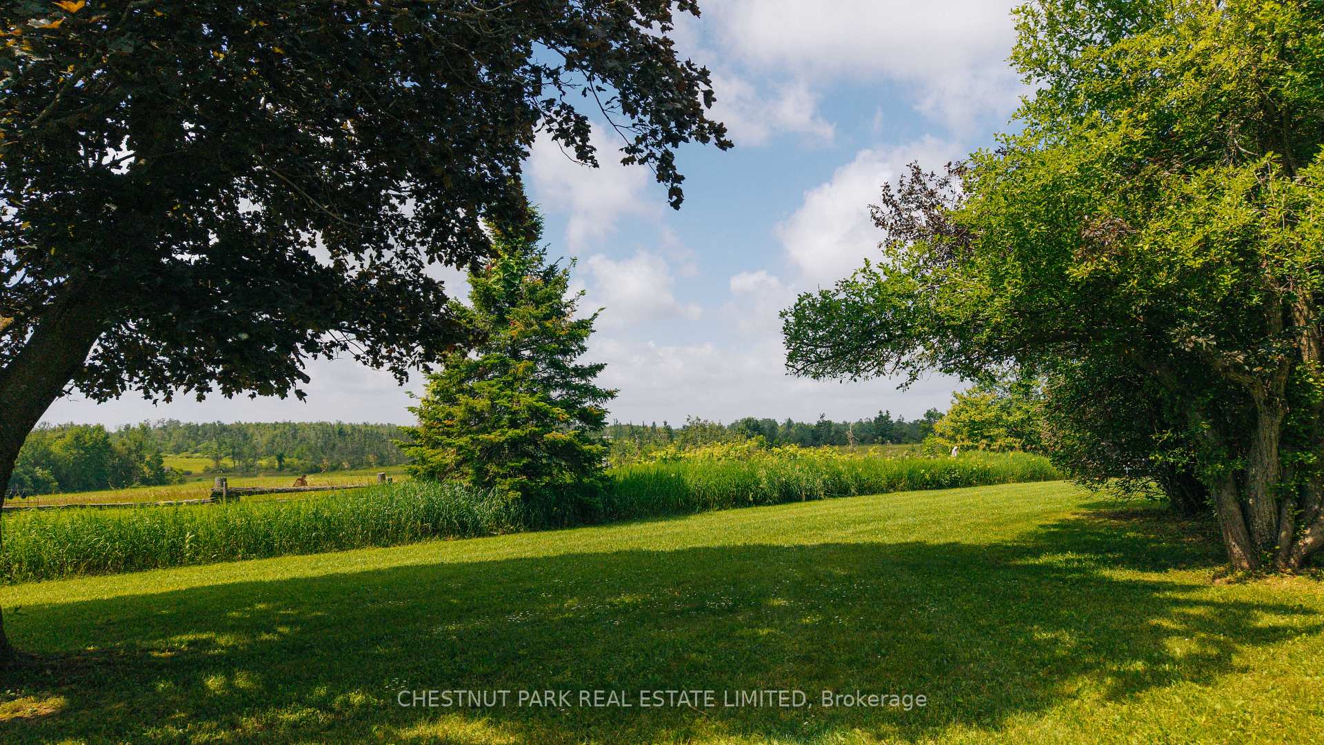 Photo 48 of 2726 10 Nottawasaga Concession S, Clearview, Rural Clearview — HOMEH