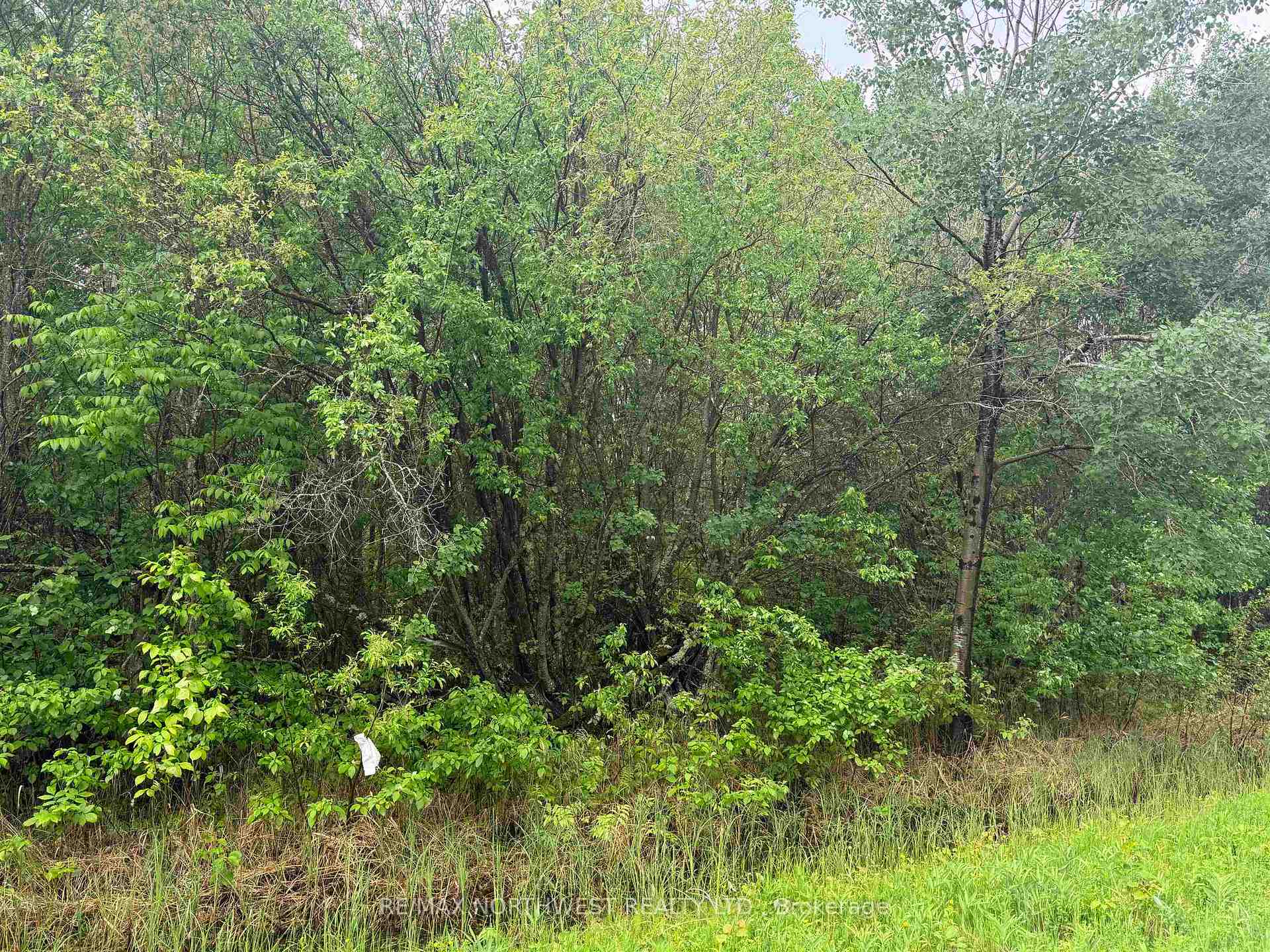 Photo 9 of PCL 11483 Budreau Rd, Rainy River Remote Area — HOMEH