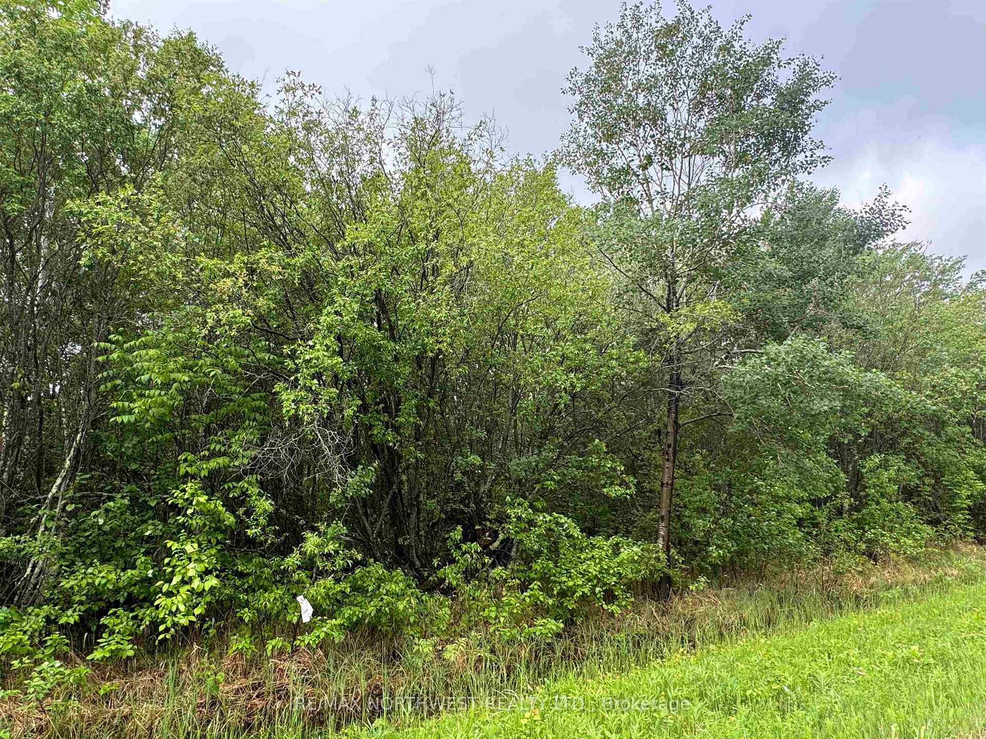 Photo 10 of PCL 11483 Budreau Rd, Rainy River Remote Area — HOMEH
