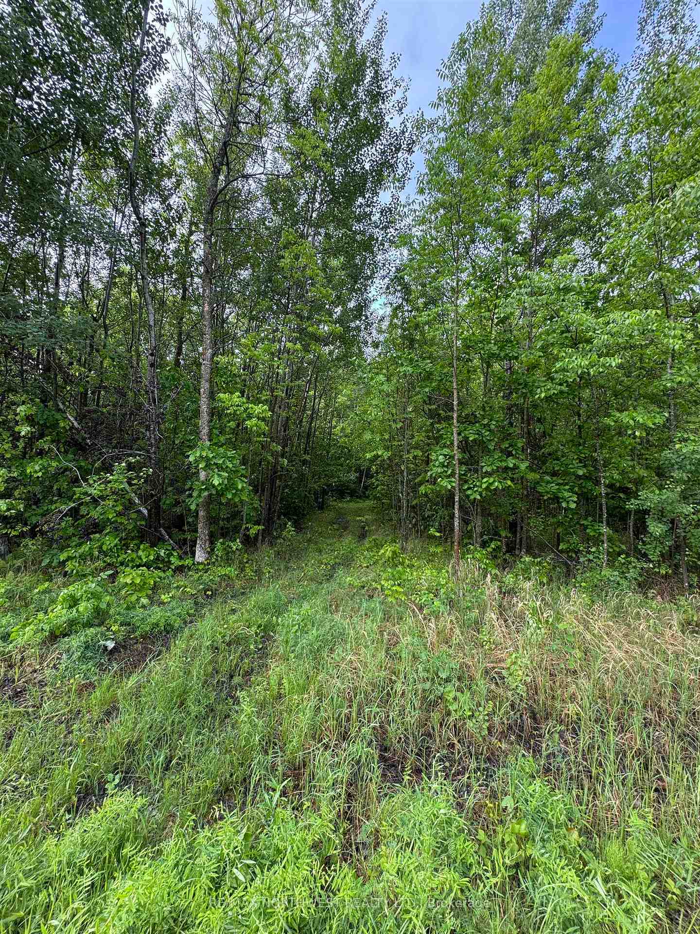 Photo 12 of PCL 11483 Budreau Rd, Rainy River Remote Area — HOMEH