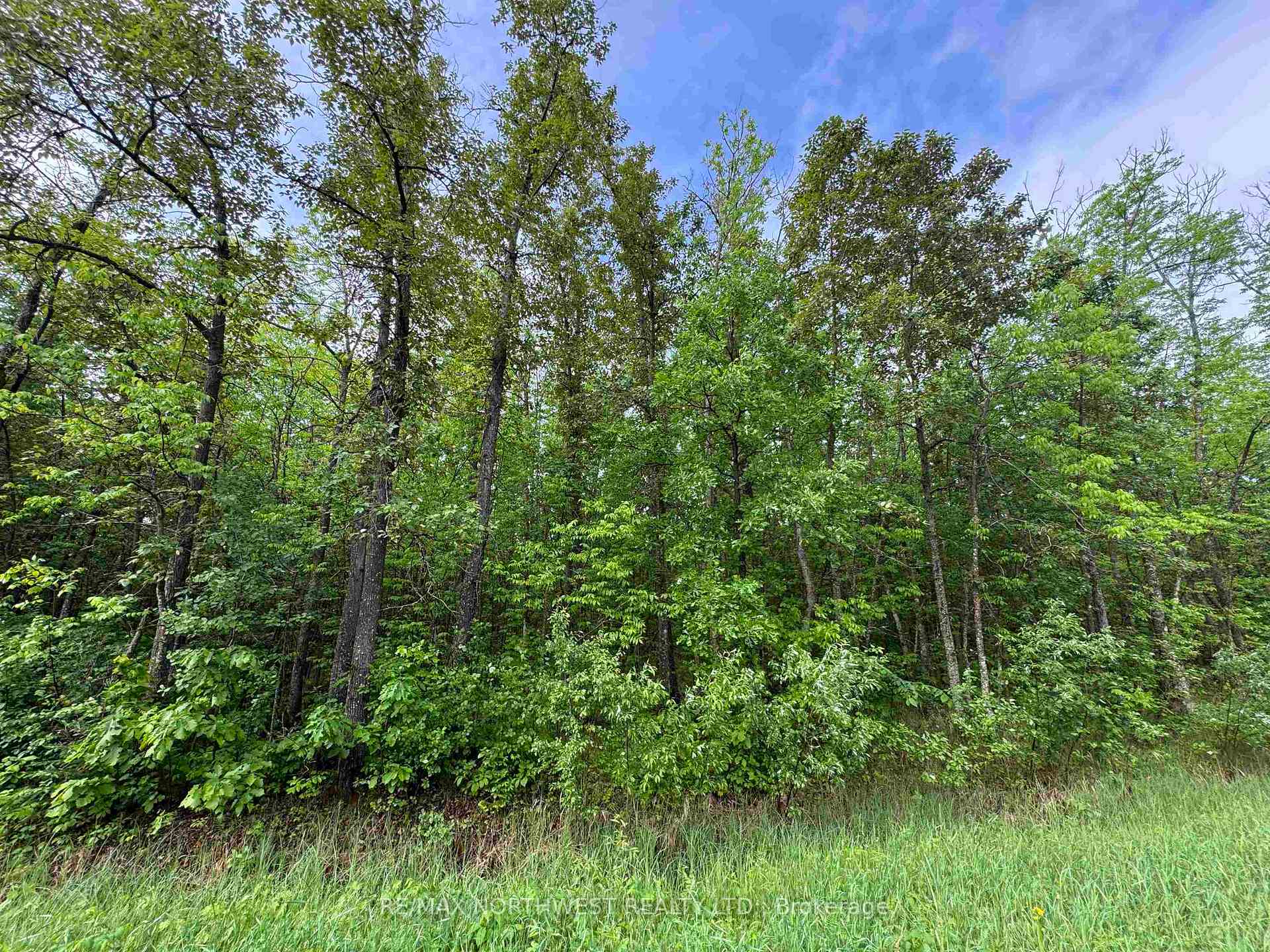 Photo 14 of PCL 11483 Budreau Rd, Rainy River Remote Area — HOMEH