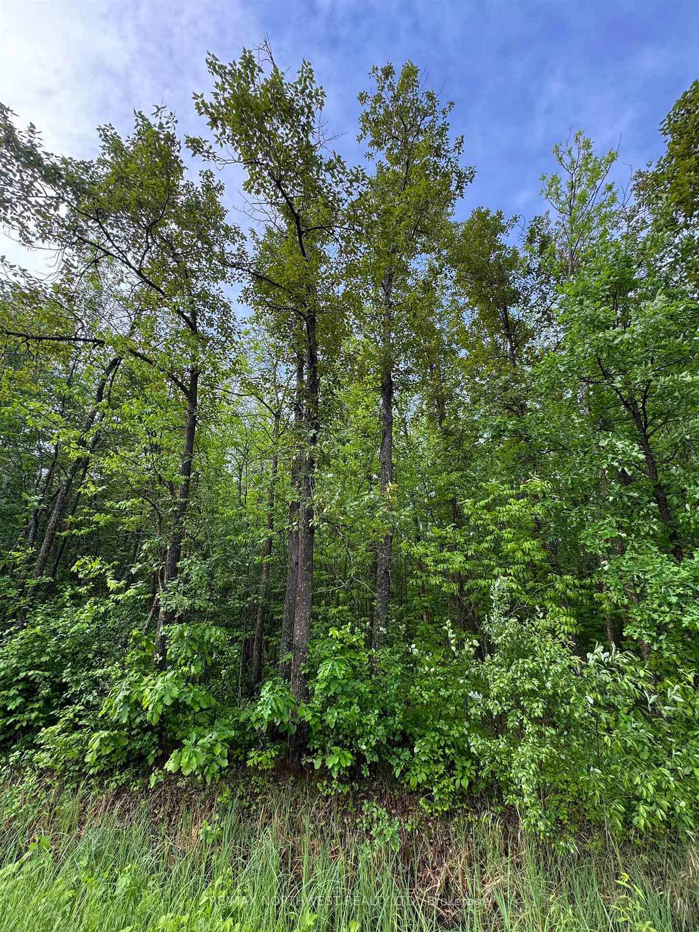 Photo 15 of PCL 11483 Budreau Rd, Rainy River Remote Area — HOMEH