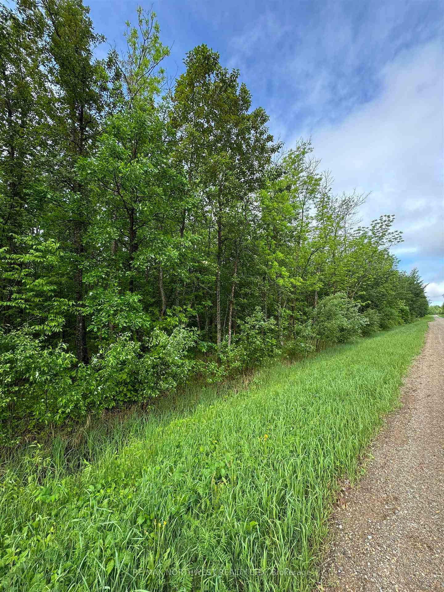 Photo 16 of PCL 11483 Budreau Rd, Rainy River Remote Area — HOMEH