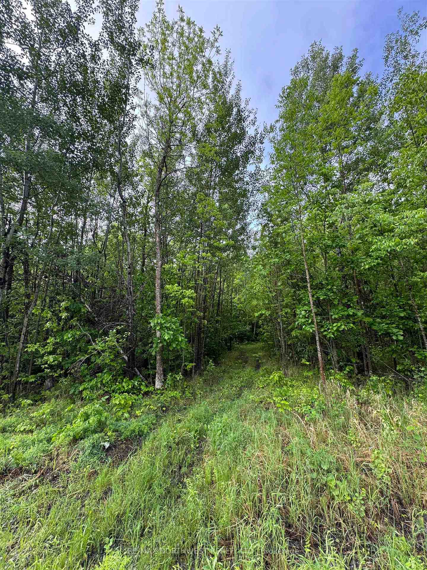 Photo 17 of PCL 11483 Budreau Rd, Rainy River Remote Area — HOMEH