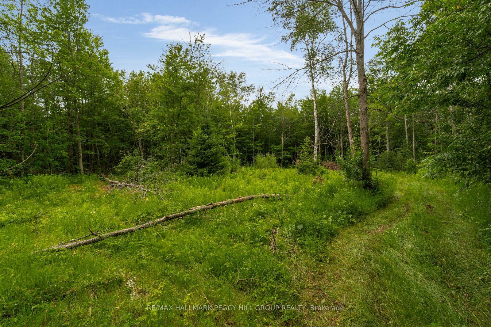 Photo 10 of 3664 Hogback Road, Clearview, Rural Clearview — HOMEH