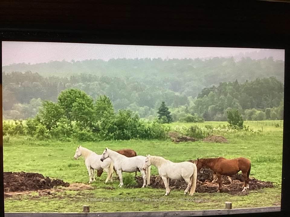 Photo 39 of 564 Adams Road, Calvin — HOMEH