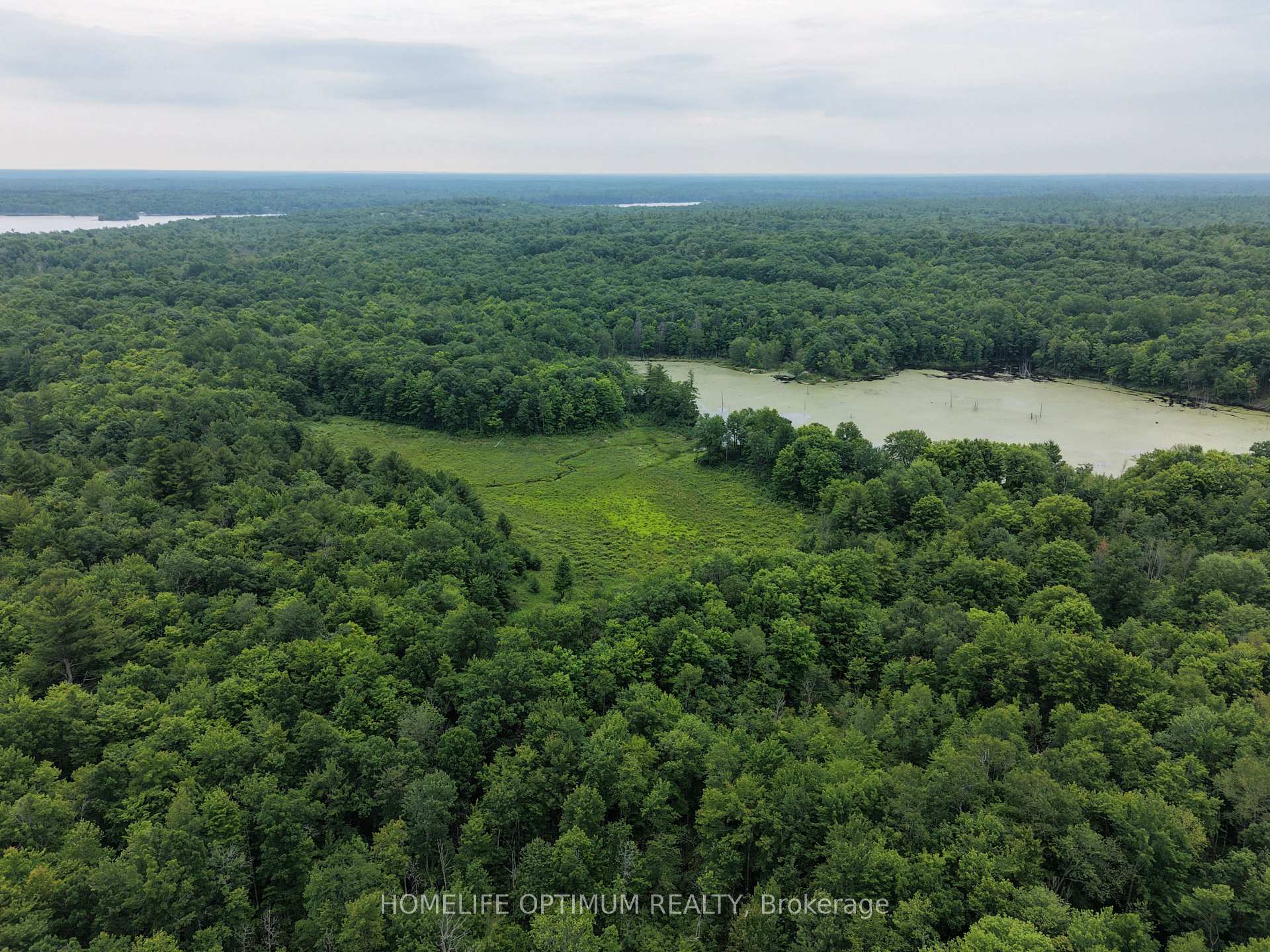 Photo 4 of PT LT 20 CON 13 Hinchinbrooke, Frontenac, Frontenac Centre — HOMEH