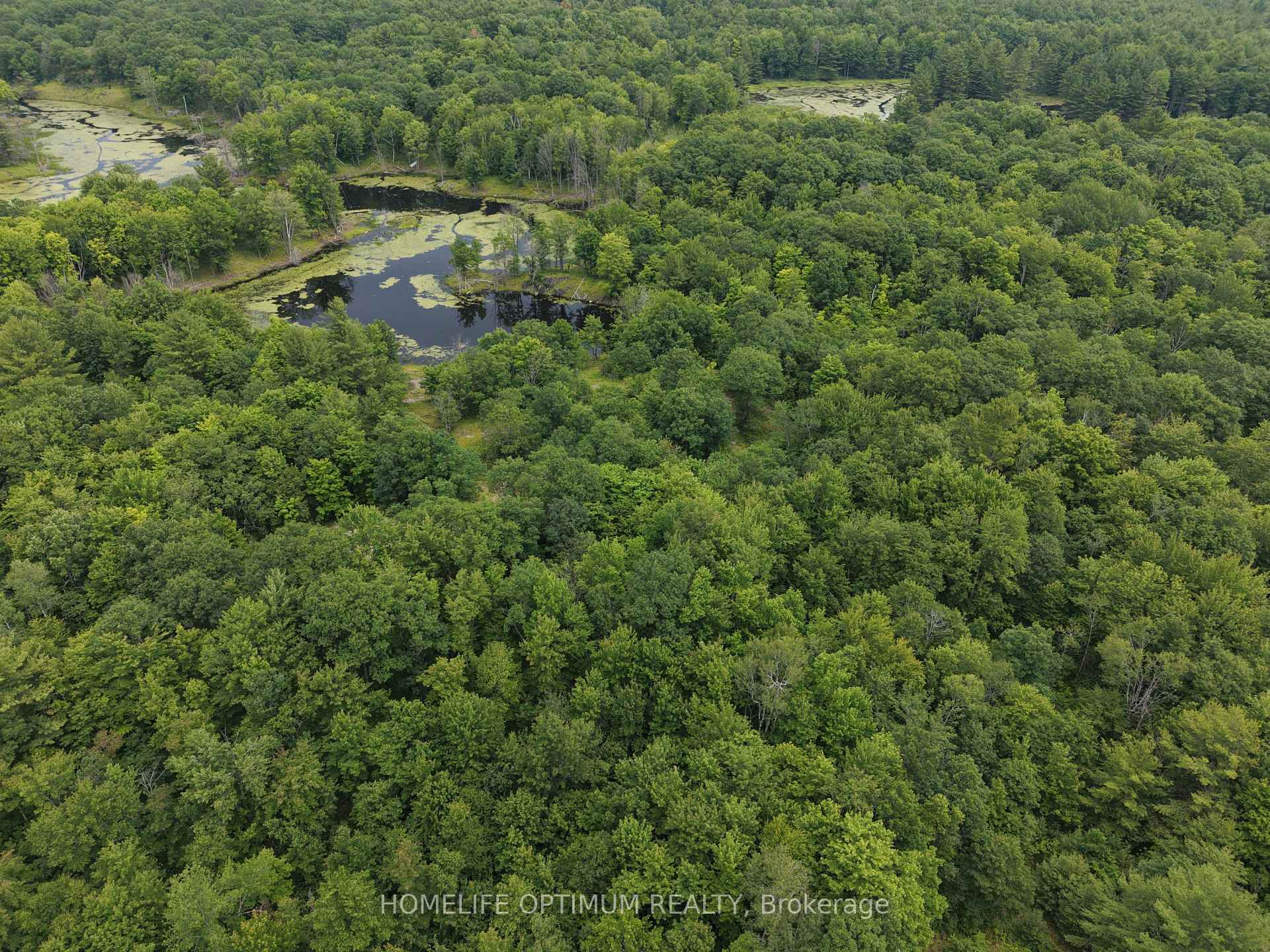 Photo 7 of PT LT 20 CON 13 Hinchinbrooke, Frontenac, Frontenac Centre — HOMEH
