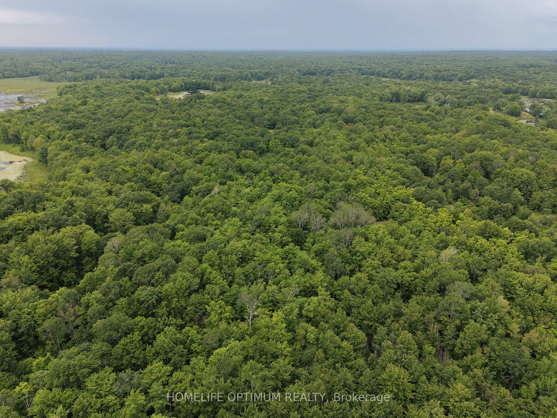 Photo 8 of PT LT 20 CON 13 Hinchinbrooke, Frontenac, Frontenac Centre — HOMEH